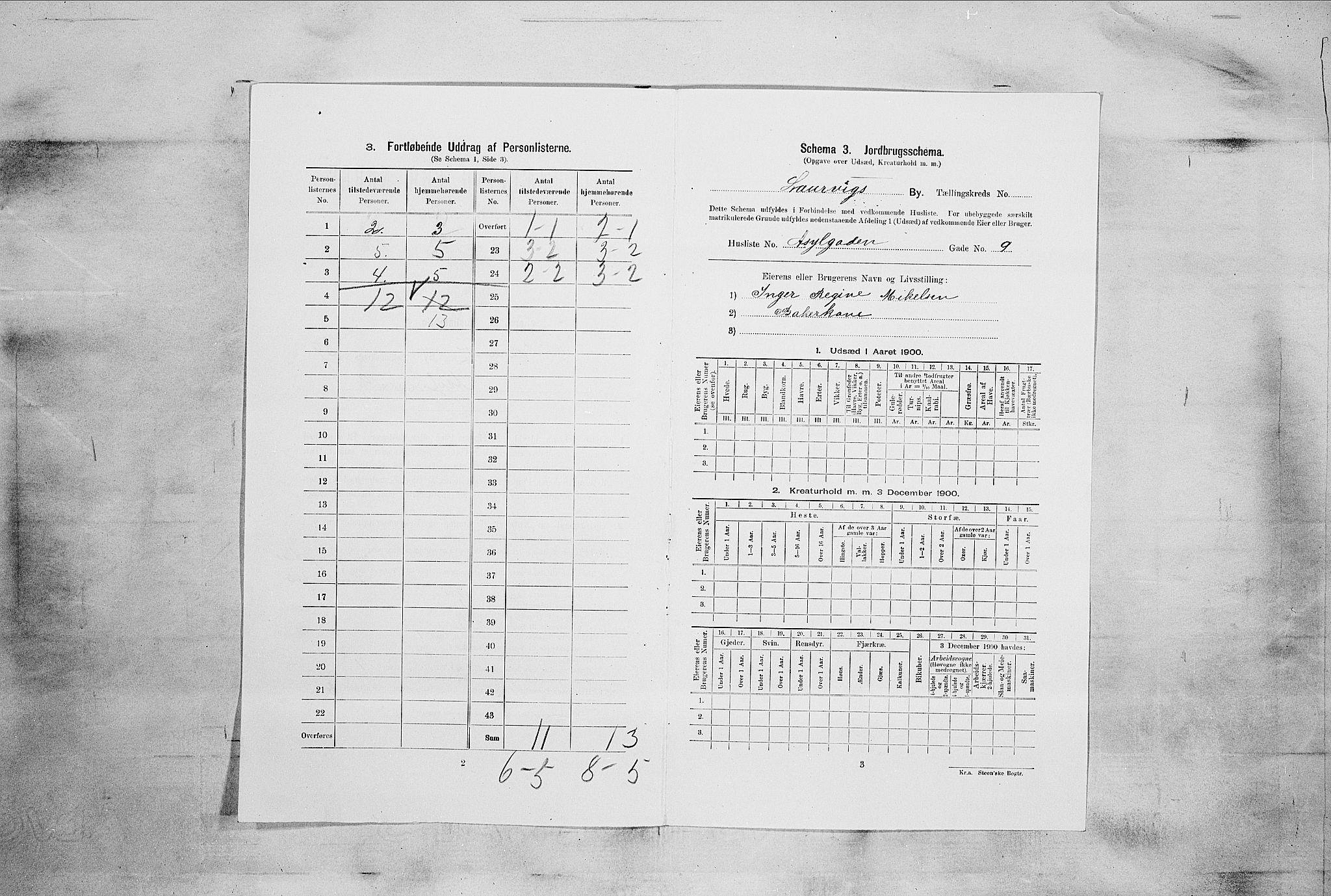 RA, 1900 census for Larvik, 1900, p. 5219