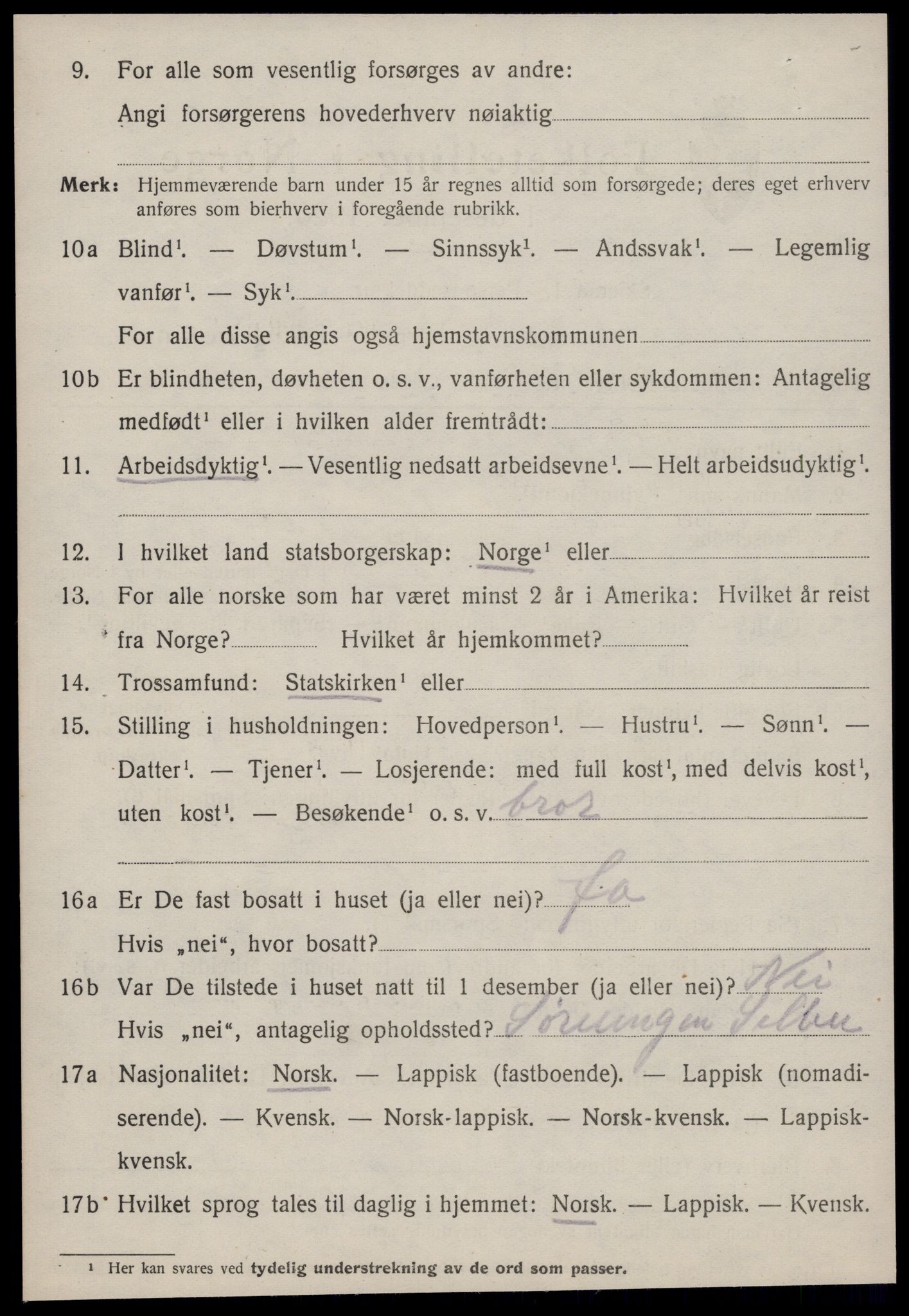 SAT, 1920 census for Selbu, 1920, p. 8491