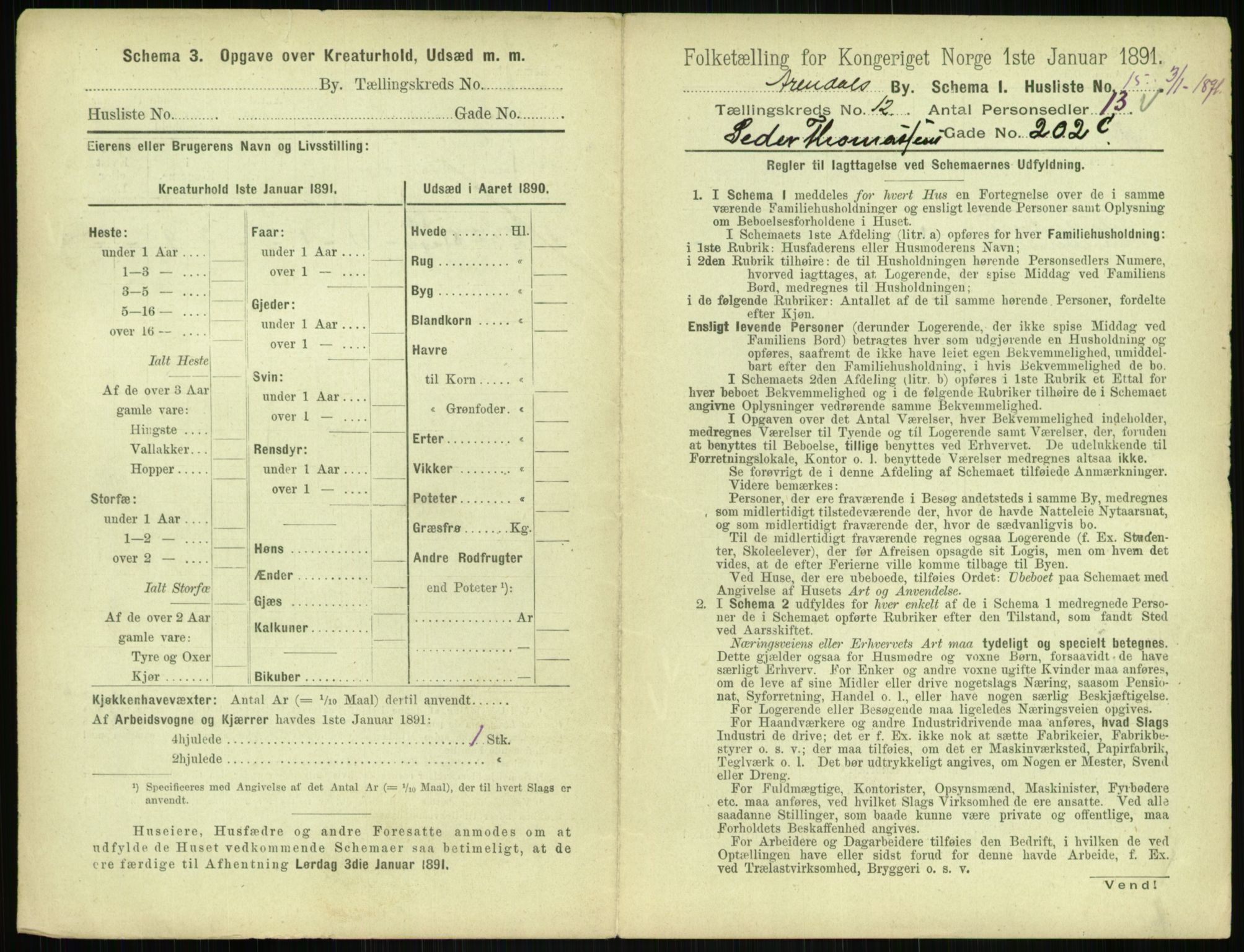 RA, 1891 census for 0903 Arendal, 1891, p. 666