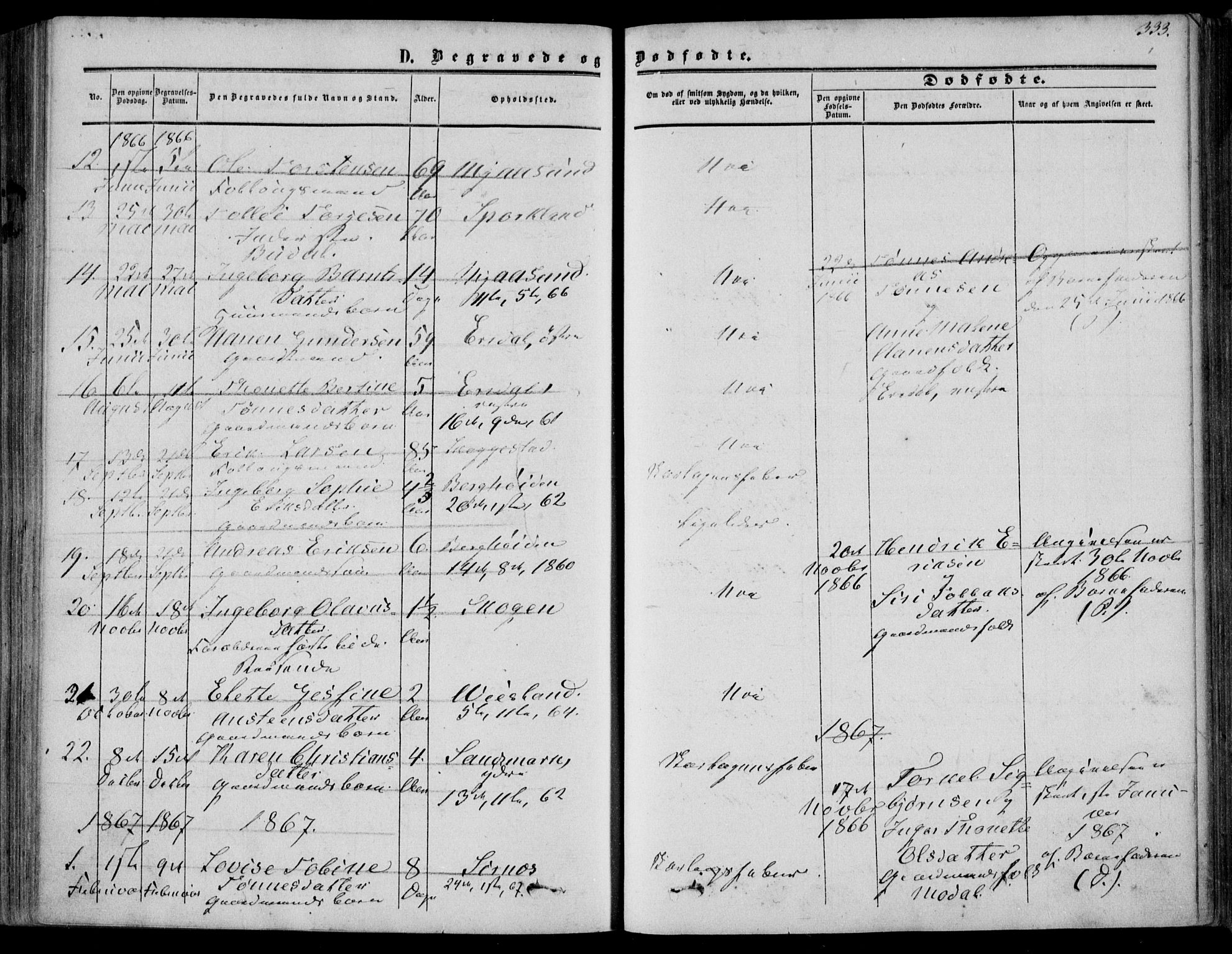Bakke sokneprestkontor, SAK/1111-0002/F/Fa/Faa/L0006: Parish register (official) no. A 6, 1855-1877, p. 333