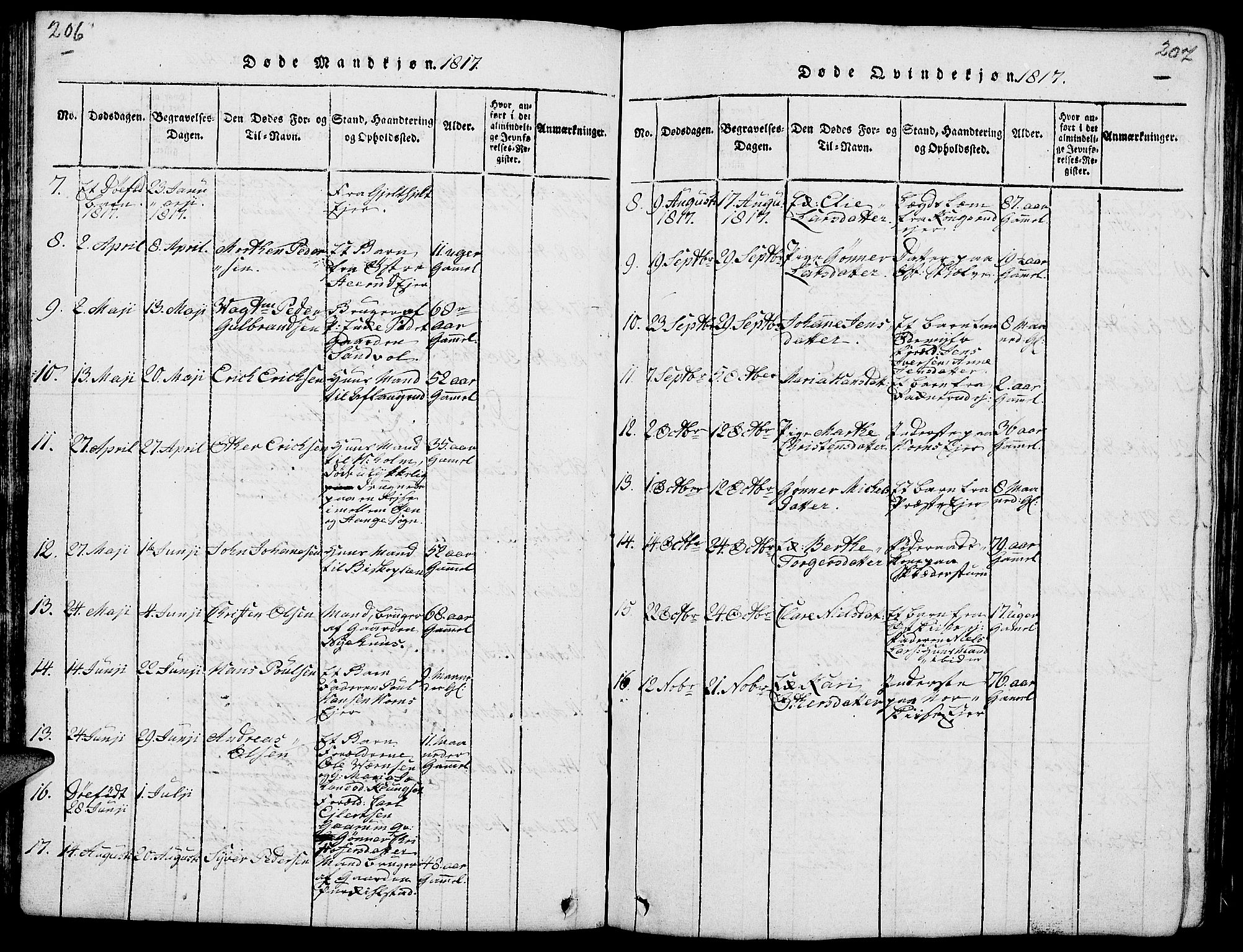 Nes prestekontor, Hedmark, AV/SAH-PREST-020/L/La/L0003: Parish register (copy) no. 3, 1814-1831, p. 206-207