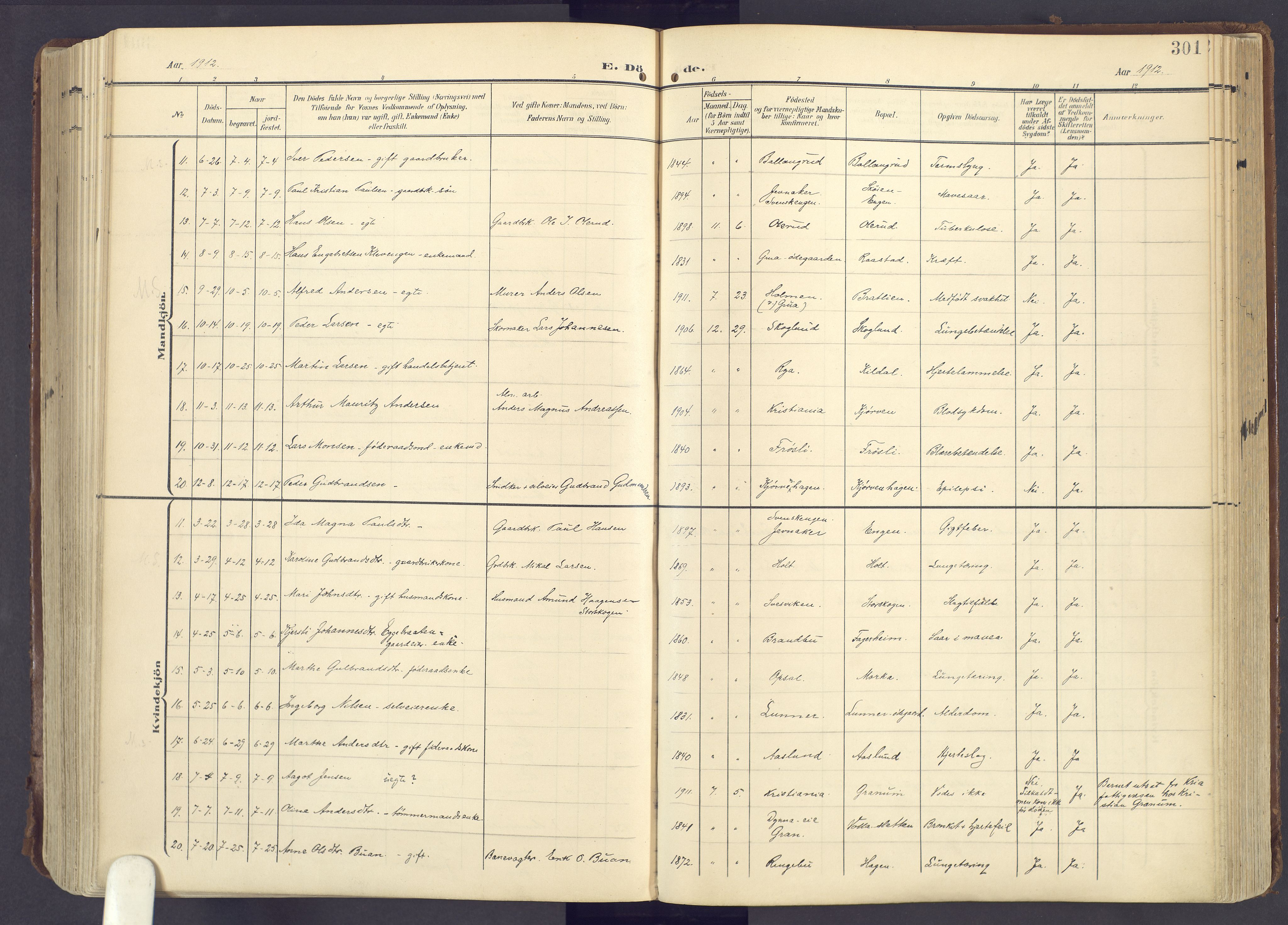 Lunner prestekontor, AV/SAH-PREST-118/H/Ha/Haa/L0001: Parish register (official) no. 1, 1907-1922, p. 301