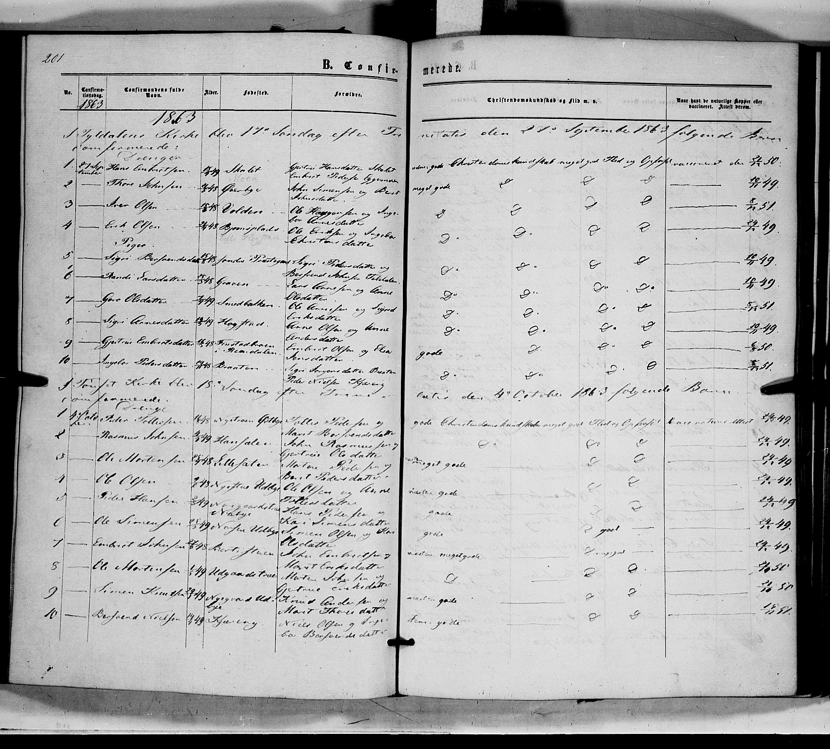 Tynset prestekontor, SAH/PREST-058/H/Ha/Haa/L0021: Parish register (official) no. 21, 1863-1879, p. 201