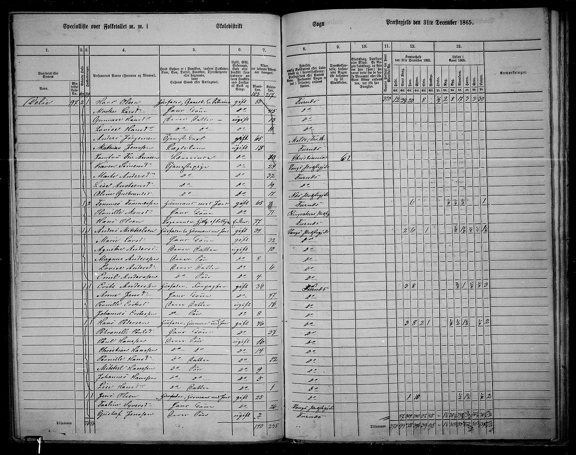 RA, 1865 census for Vang/Vang og Furnes, 1865, p. 103