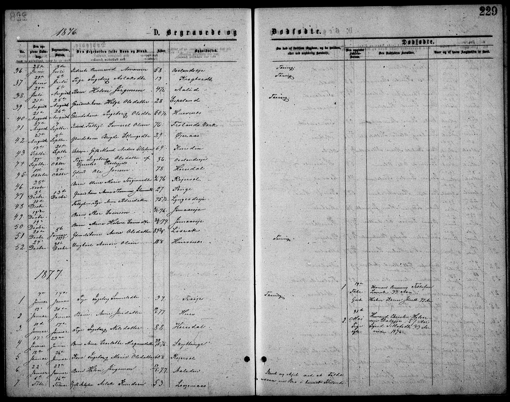 Froland sokneprestkontor, AV/SAK-1111-0013/F/Fb/L0009: Parish register (copy) no. B 9, 1875-1893, p. 229