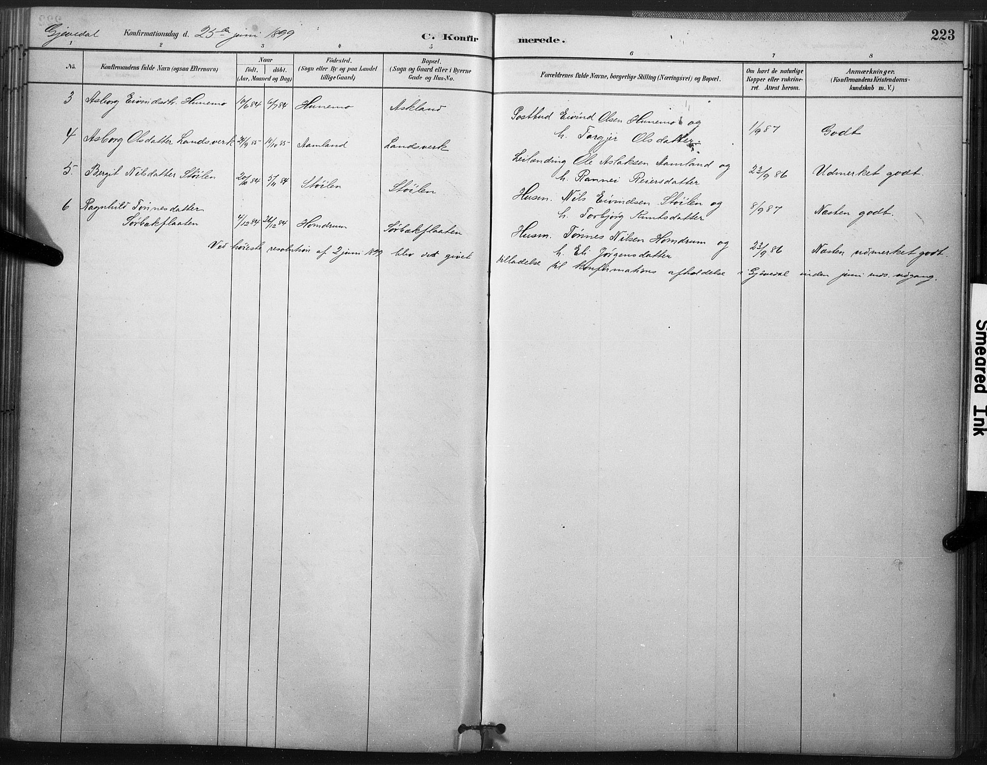 Åmli sokneprestkontor, SAK/1111-0050/F/Fa/Fac/L0010: Parish register (official) no. A 10 /2, 1885-1899, p. 223