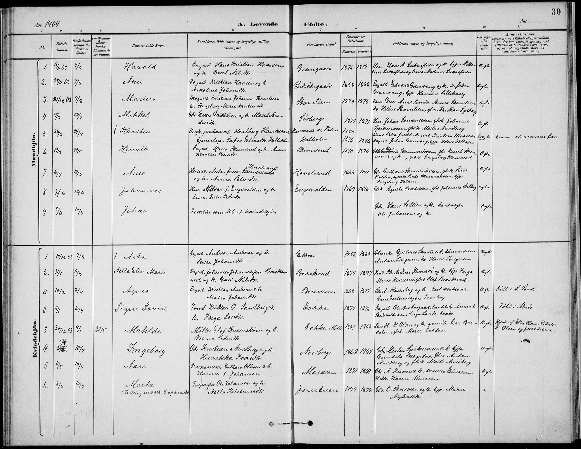 Nordre Land prestekontor, SAH/PREST-124/H/Ha/Hab/L0014: Parish register (copy) no. 14, 1891-1907, p. 30