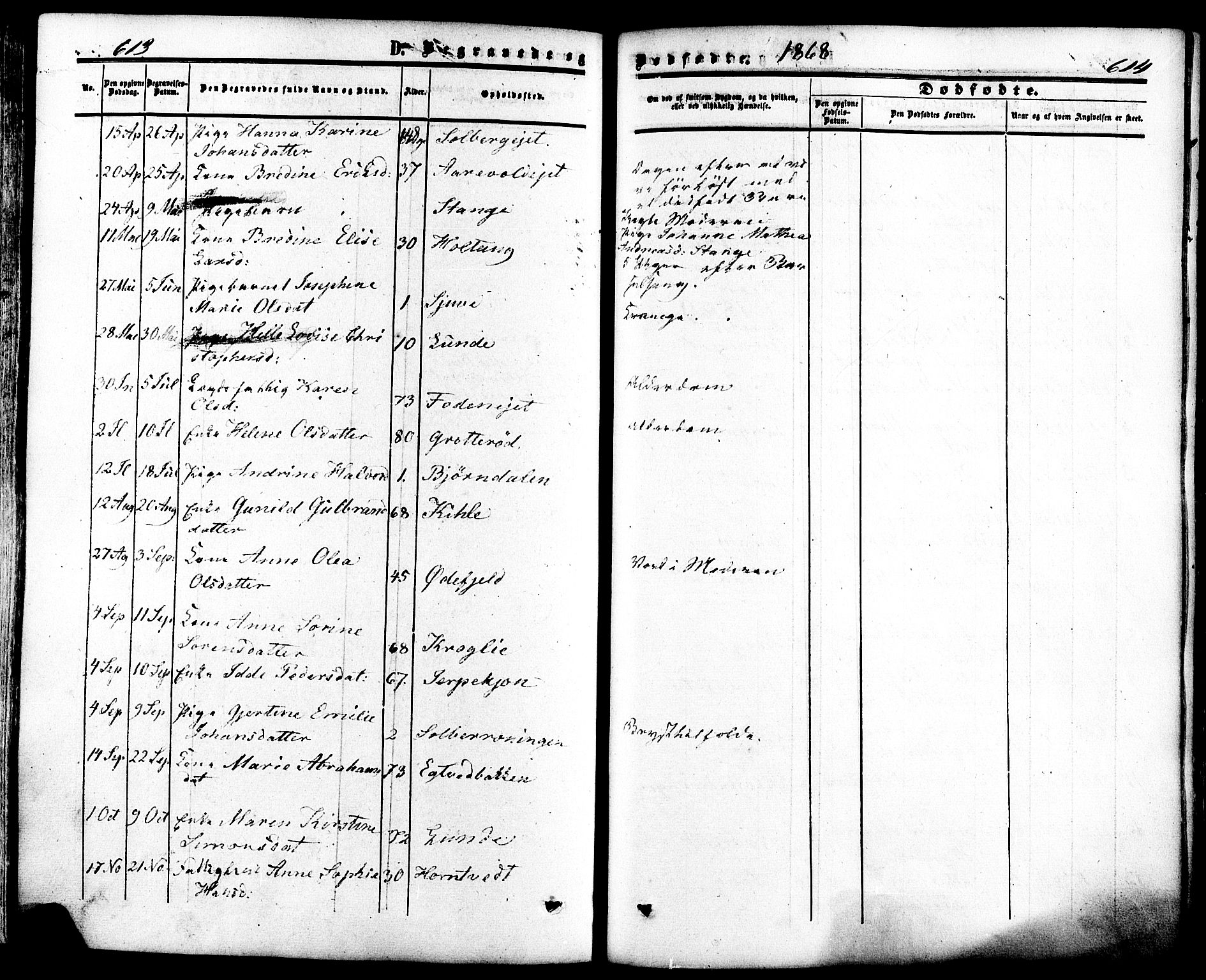 Ramnes kirkebøker, SAKO/A-314/F/Fa/L0006: Parish register (official) no. I 6, 1862-1877, p. 613-614