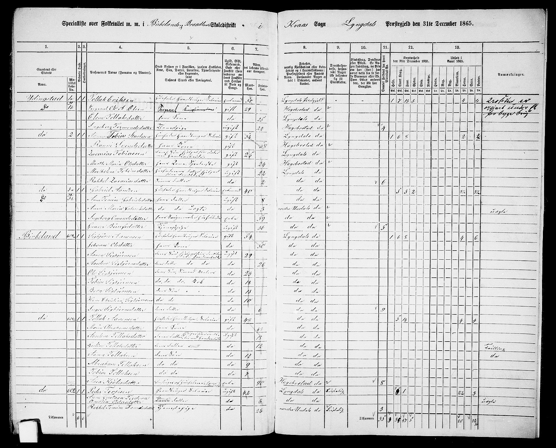 RA, 1865 census for Lyngdal, 1865, p. 246