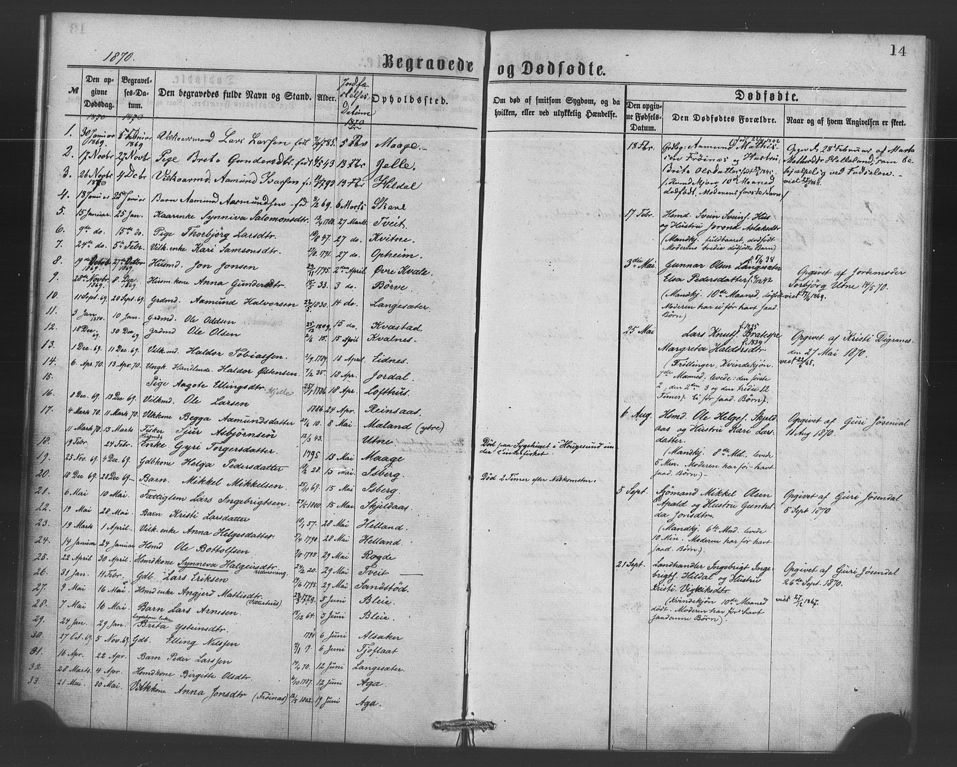 Ullensvang sokneprestembete, SAB/A-78701/H/Haa: Parish register (official) no. A 15, 1867-1882, p. 14