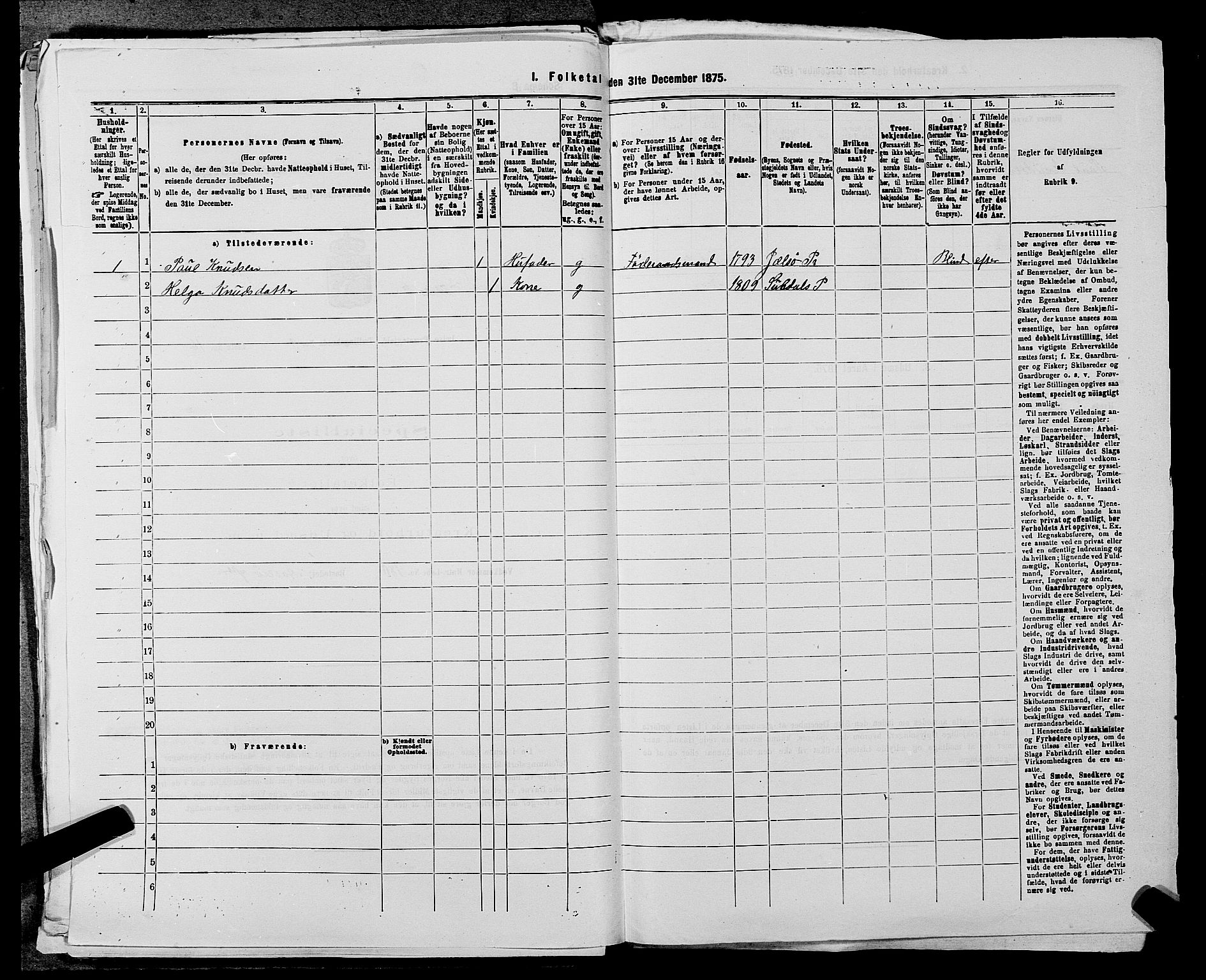 SAST, 1875 census for 1138P Jelsa, 1875, p. 842