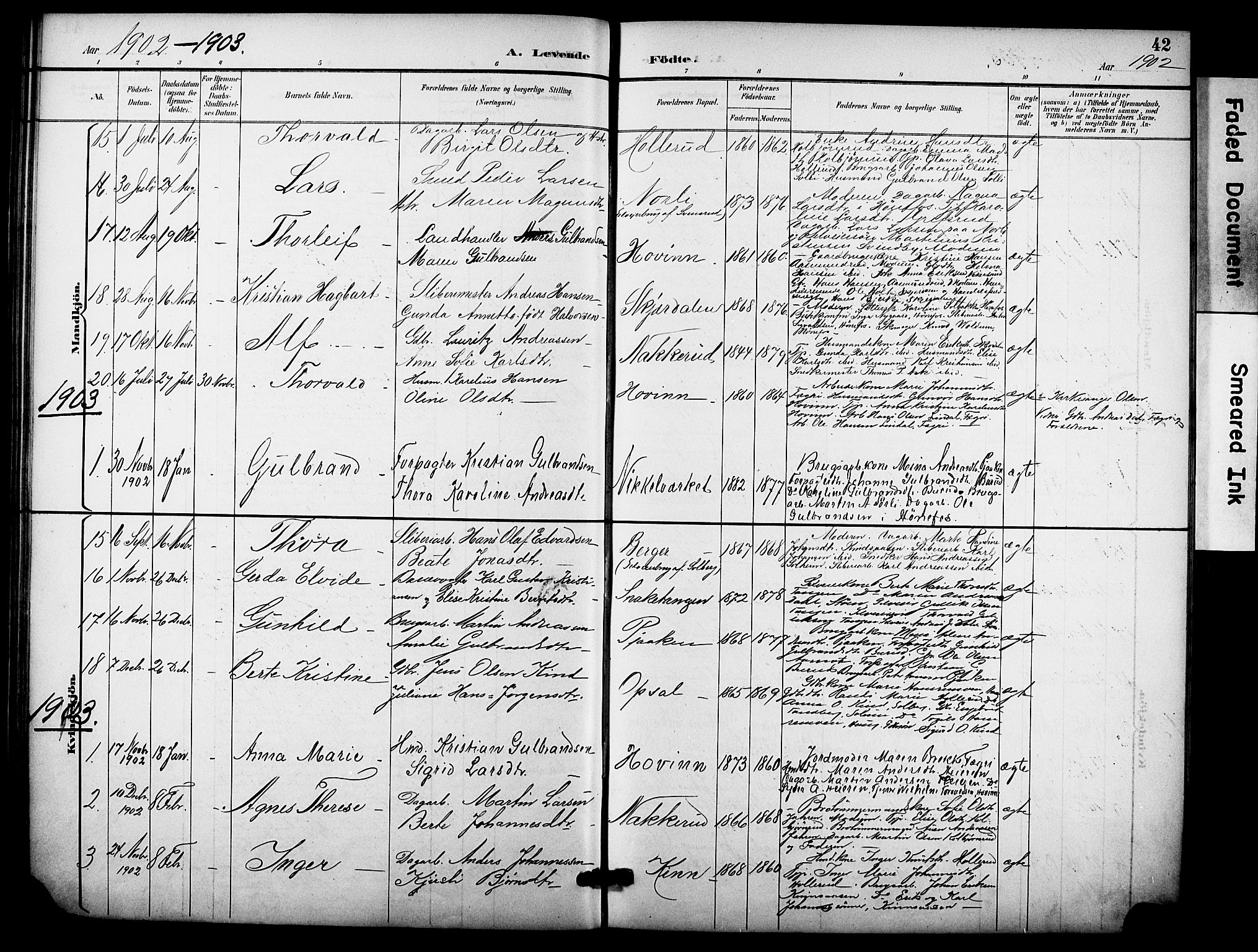 Hole kirkebøker, SAKO/A-228/F/Fb/L0002: Parish register (official) no. II 2, 1892-1906, p. 42