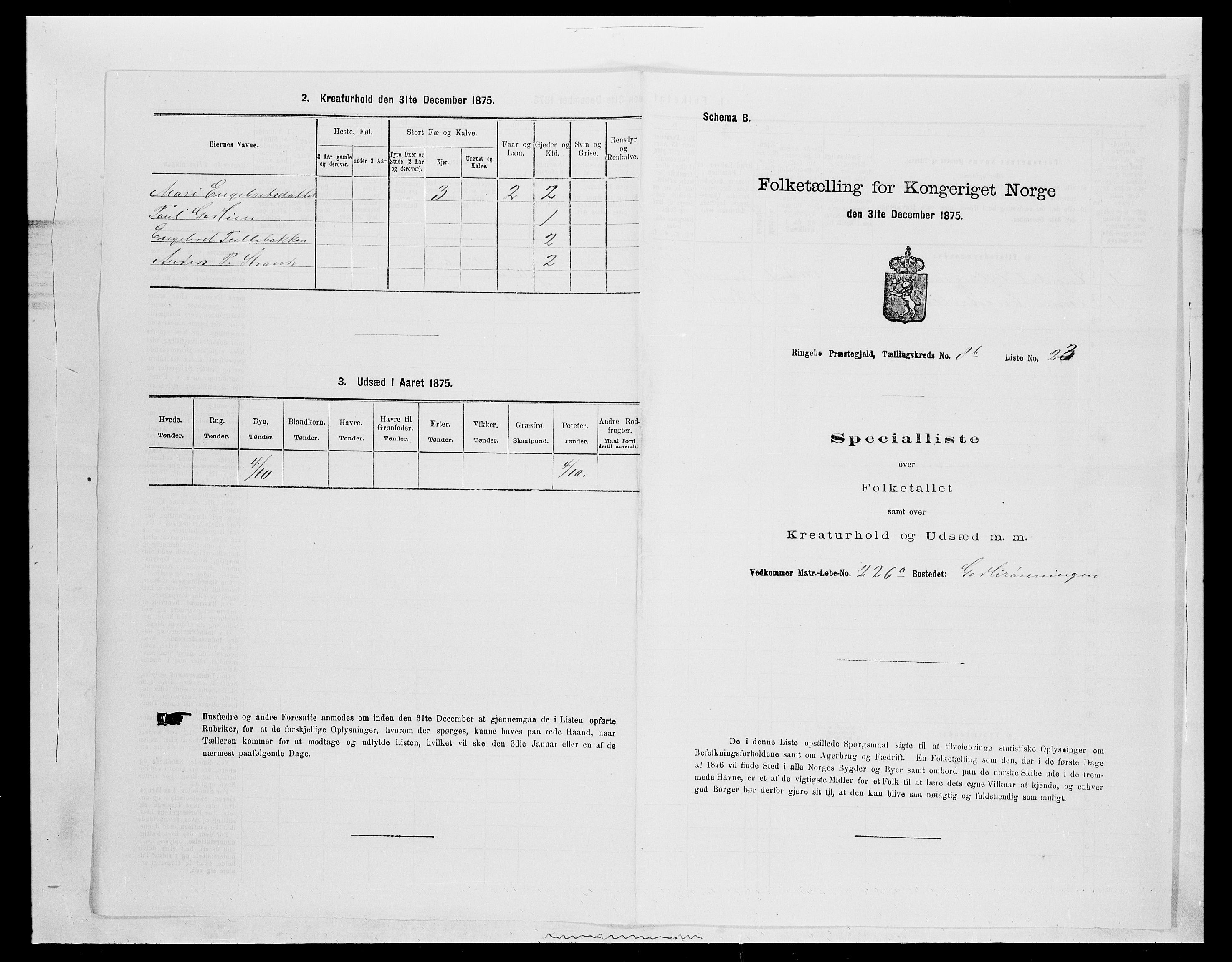 SAH, 1875 census for 0520P Ringebu, 1875, p. 1316