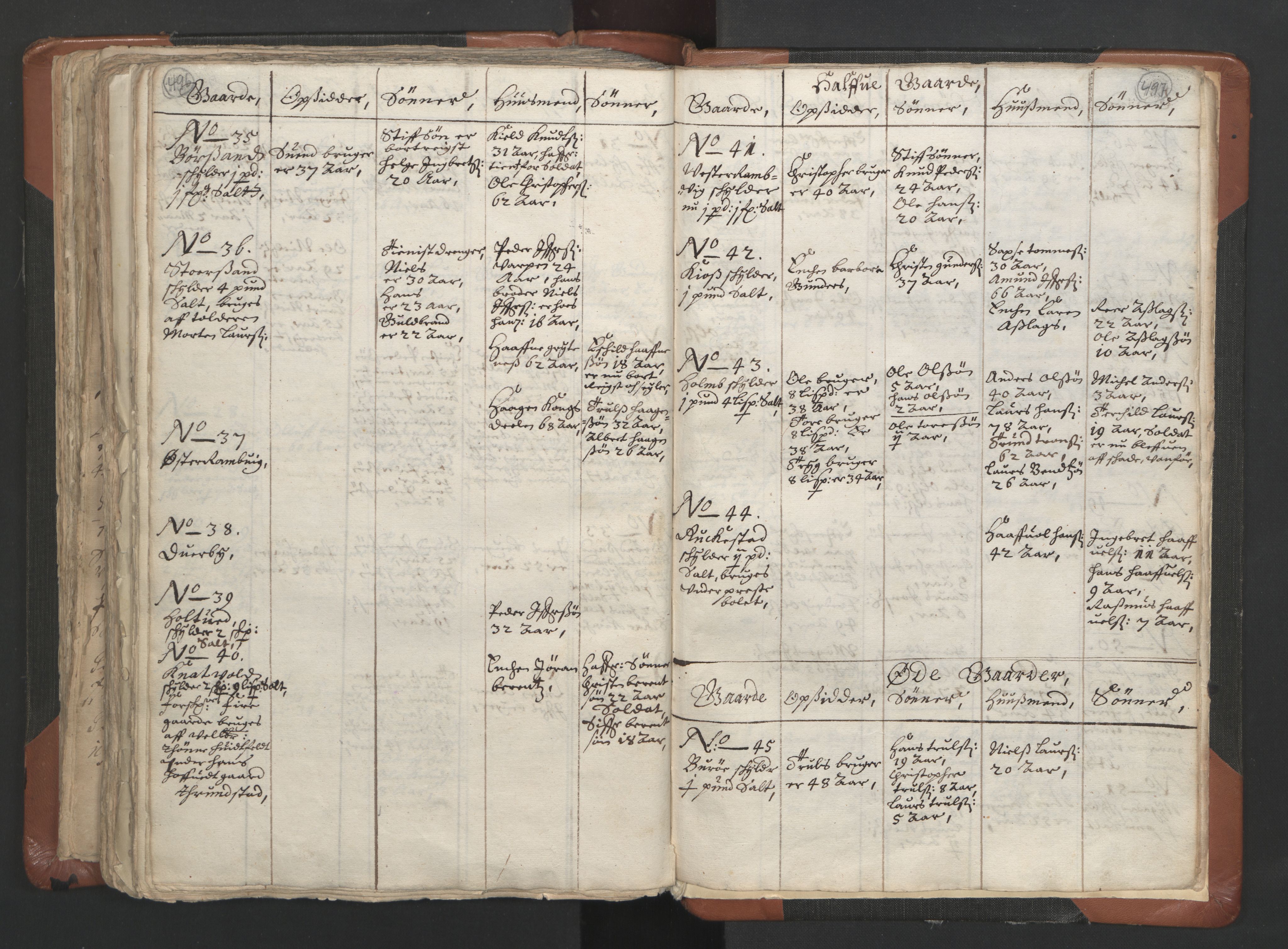 RA, Vicar's Census 1664-1666, no. 9: Bragernes deanery, 1664-1666, p. 496-497