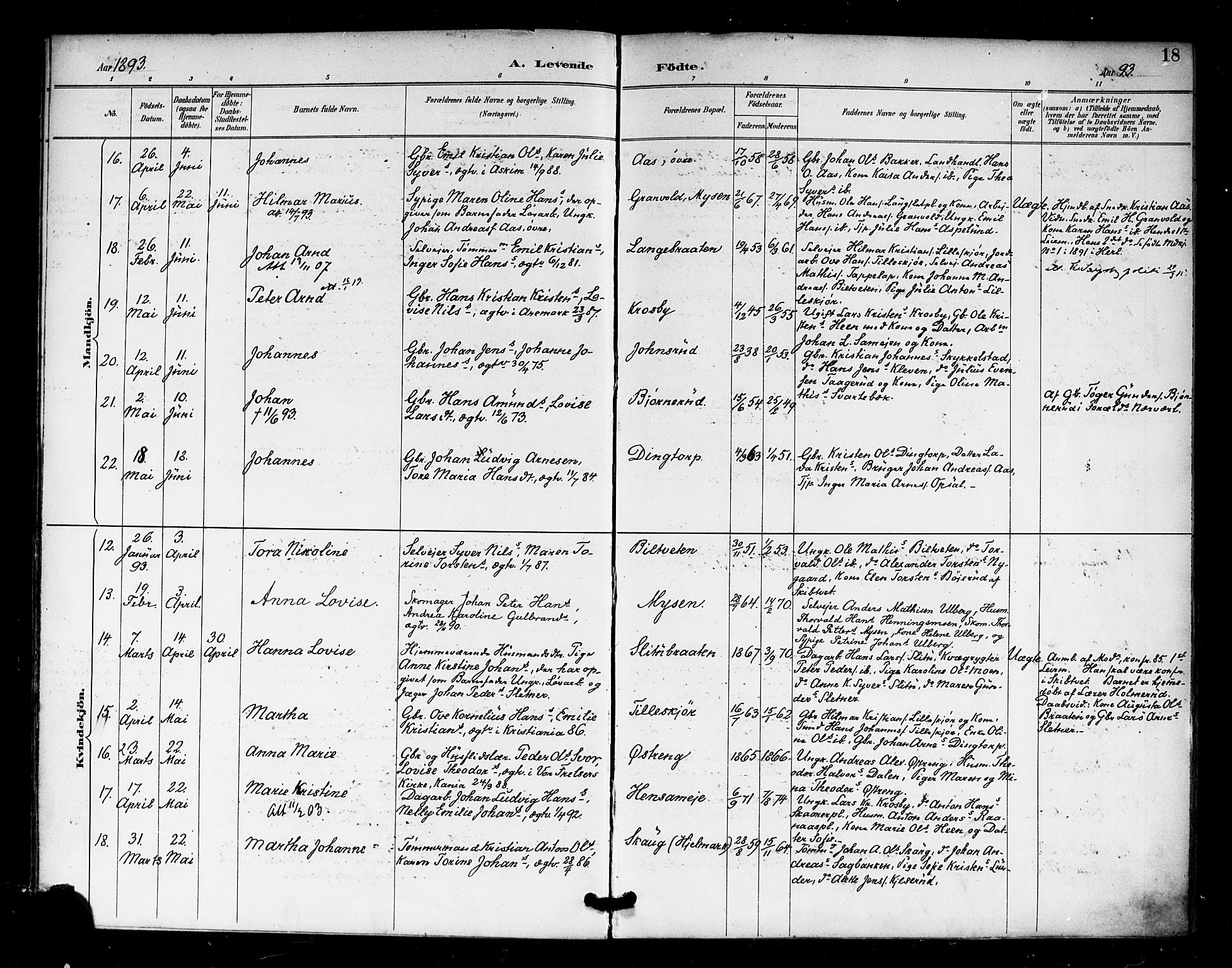 Eidsberg prestekontor Kirkebøker, SAO/A-10905/F/Fa/L0013: Parish register (official) no. I 13, 1890-1901, p. 18