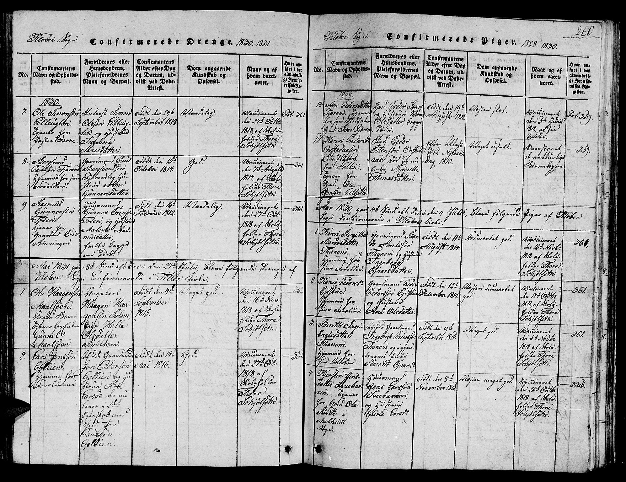 Ministerialprotokoller, klokkerbøker og fødselsregistre - Sør-Trøndelag, SAT/A-1456/618/L0450: Parish register (copy) no. 618C01, 1816-1865, p. 260