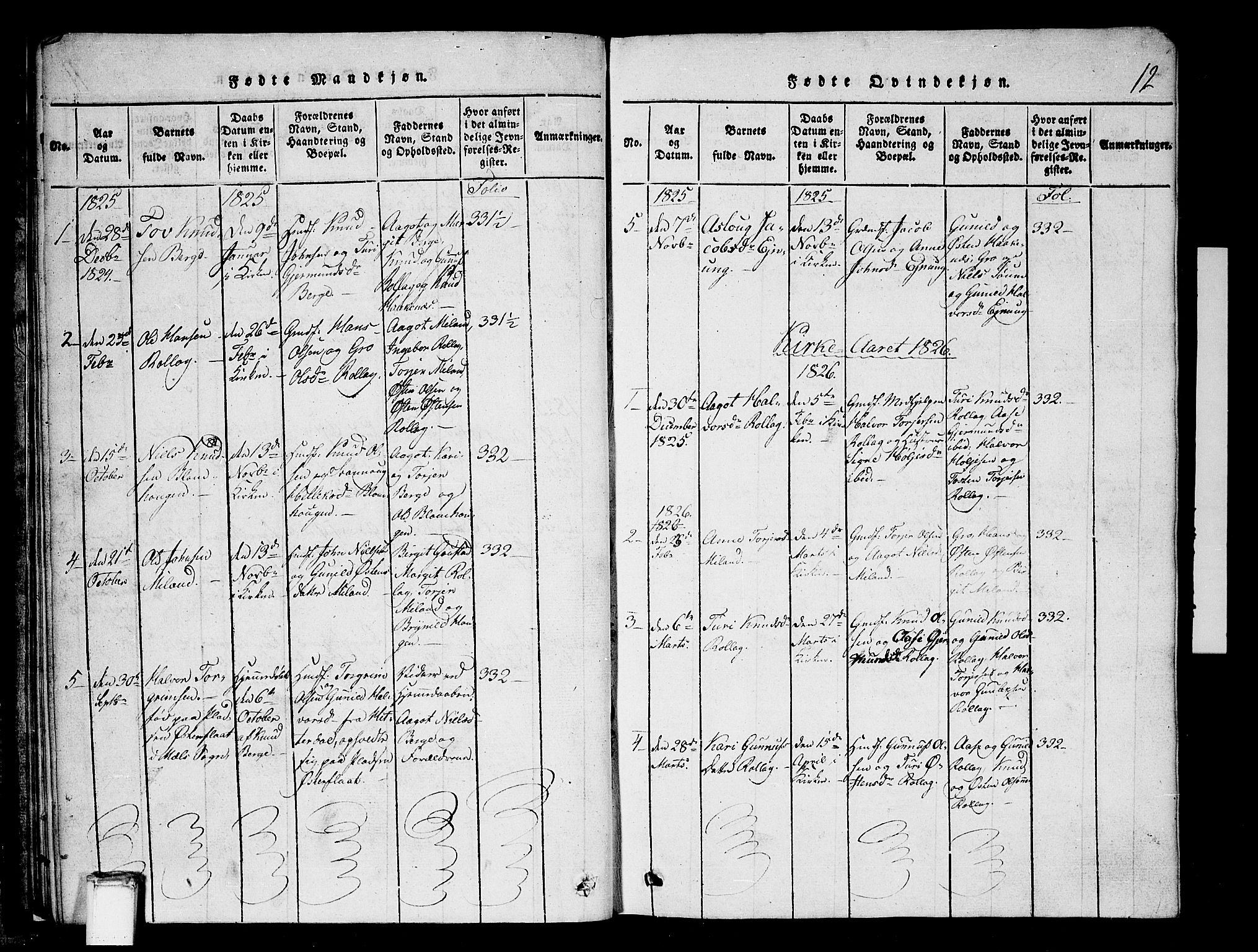 Tinn kirkebøker, SAKO/A-308/G/Gb/L0001: Parish register (copy) no. II 1 /1, 1815-1850, p. 12