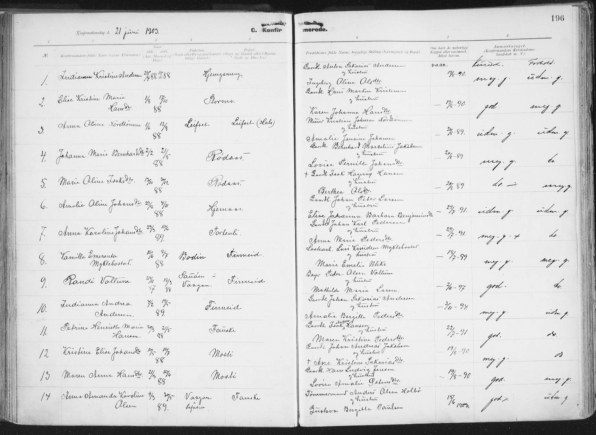 Ministerialprotokoller, klokkerbøker og fødselsregistre - Nordland, AV/SAT-A-1459/849/L0696: Parish register (official) no. 849A08, 1898-1910, p. 196