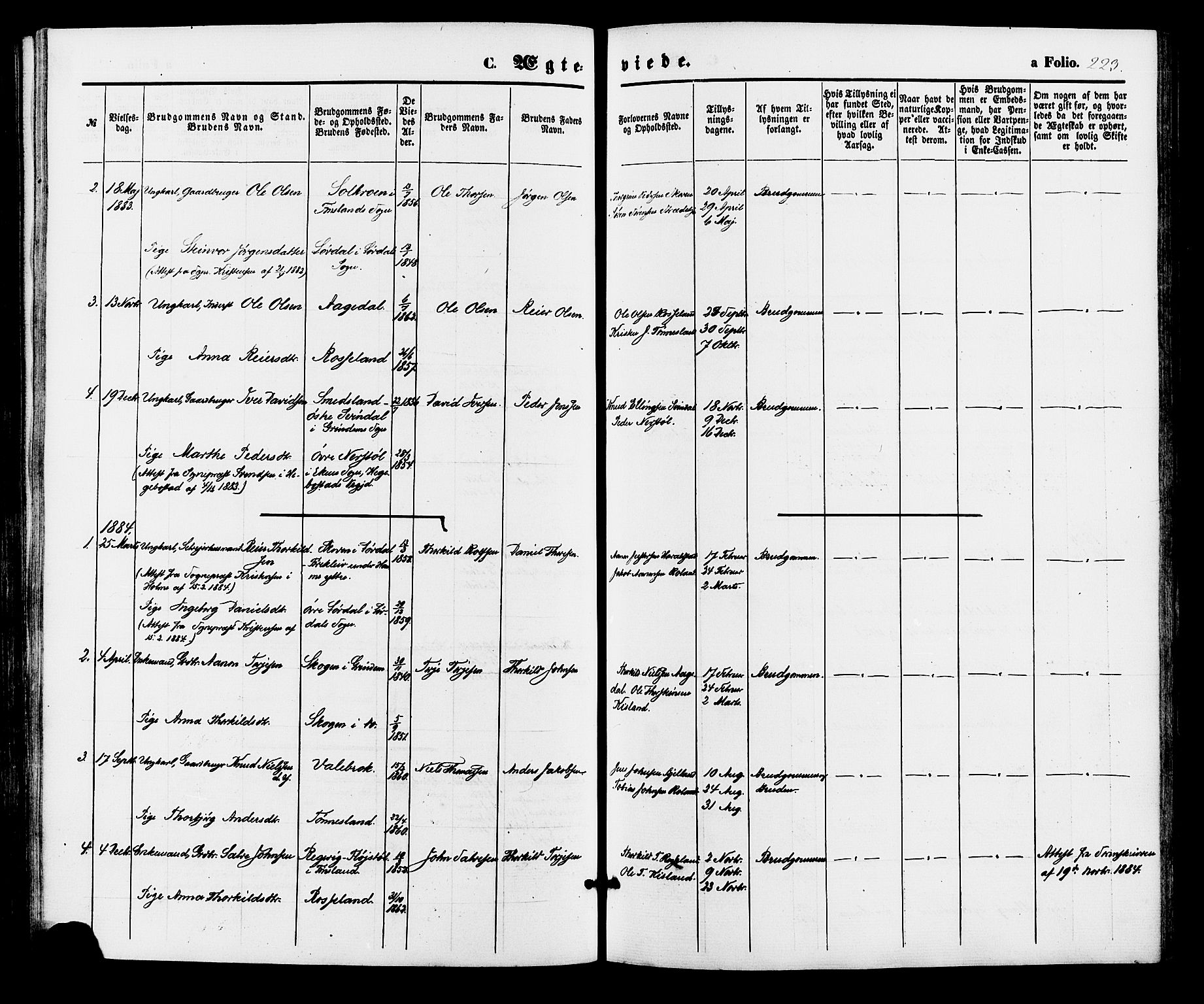 Bjelland sokneprestkontor, SAK/1111-0005/F/Fa/Faa/L0003: Parish register (official) no. A 3, 1867-1887, p. 223
