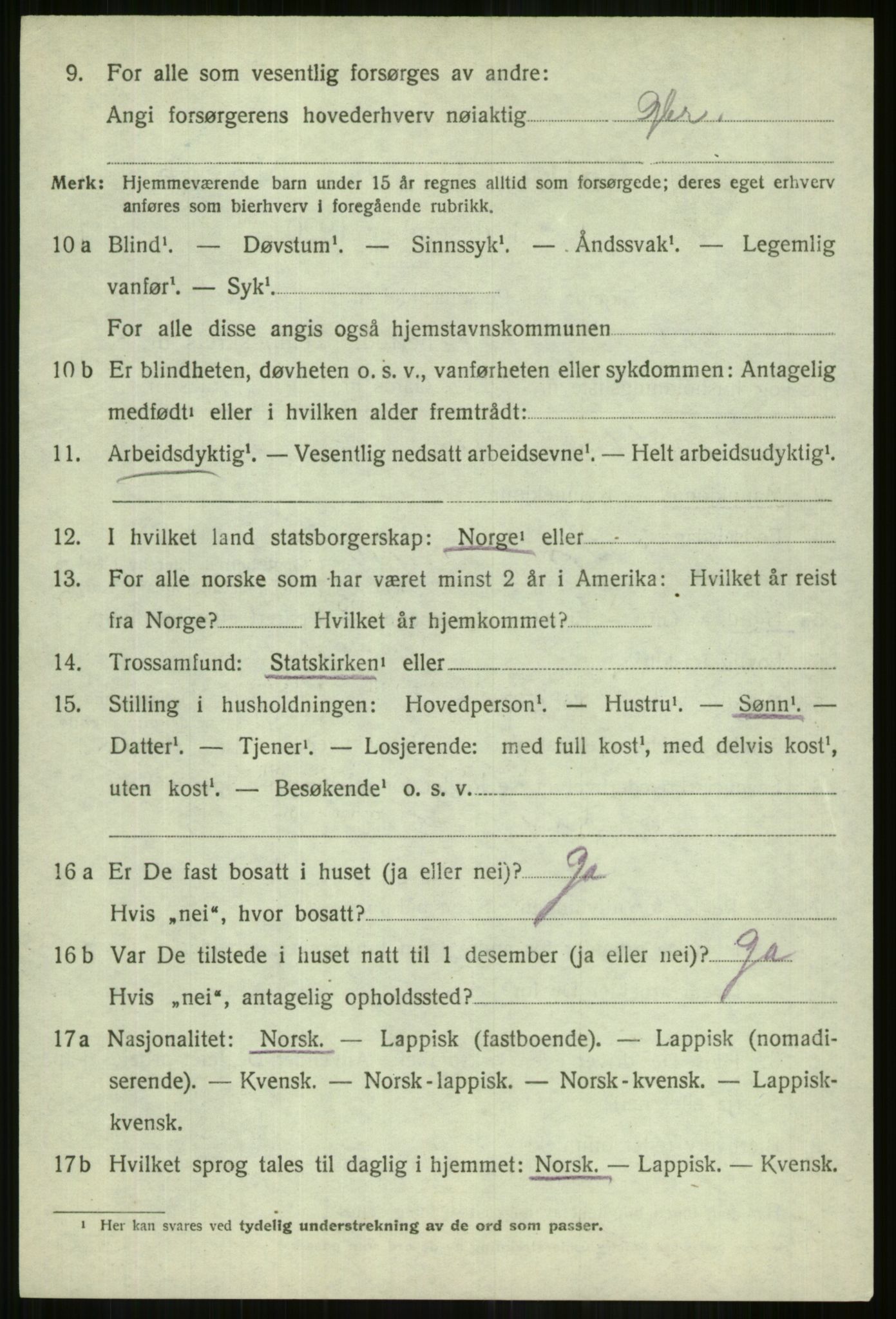 SATØ, 1920 census for Lyngen, 1920, p. 10374