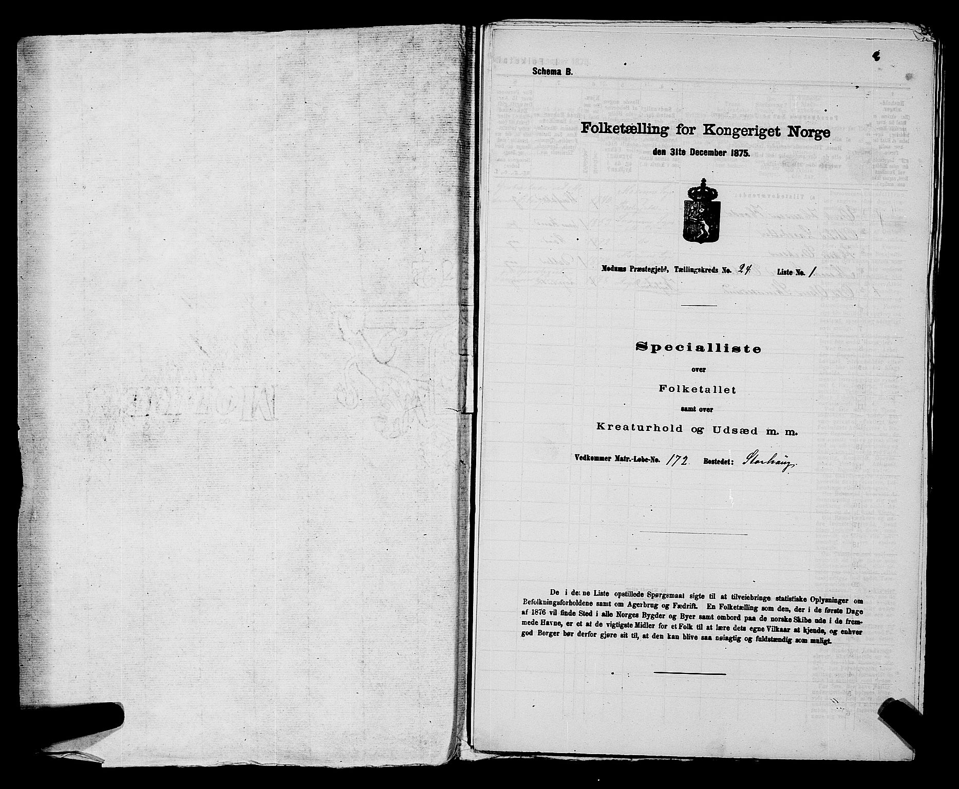 SAKO, 1875 census for 0623P Modum, 1875, p. 2882