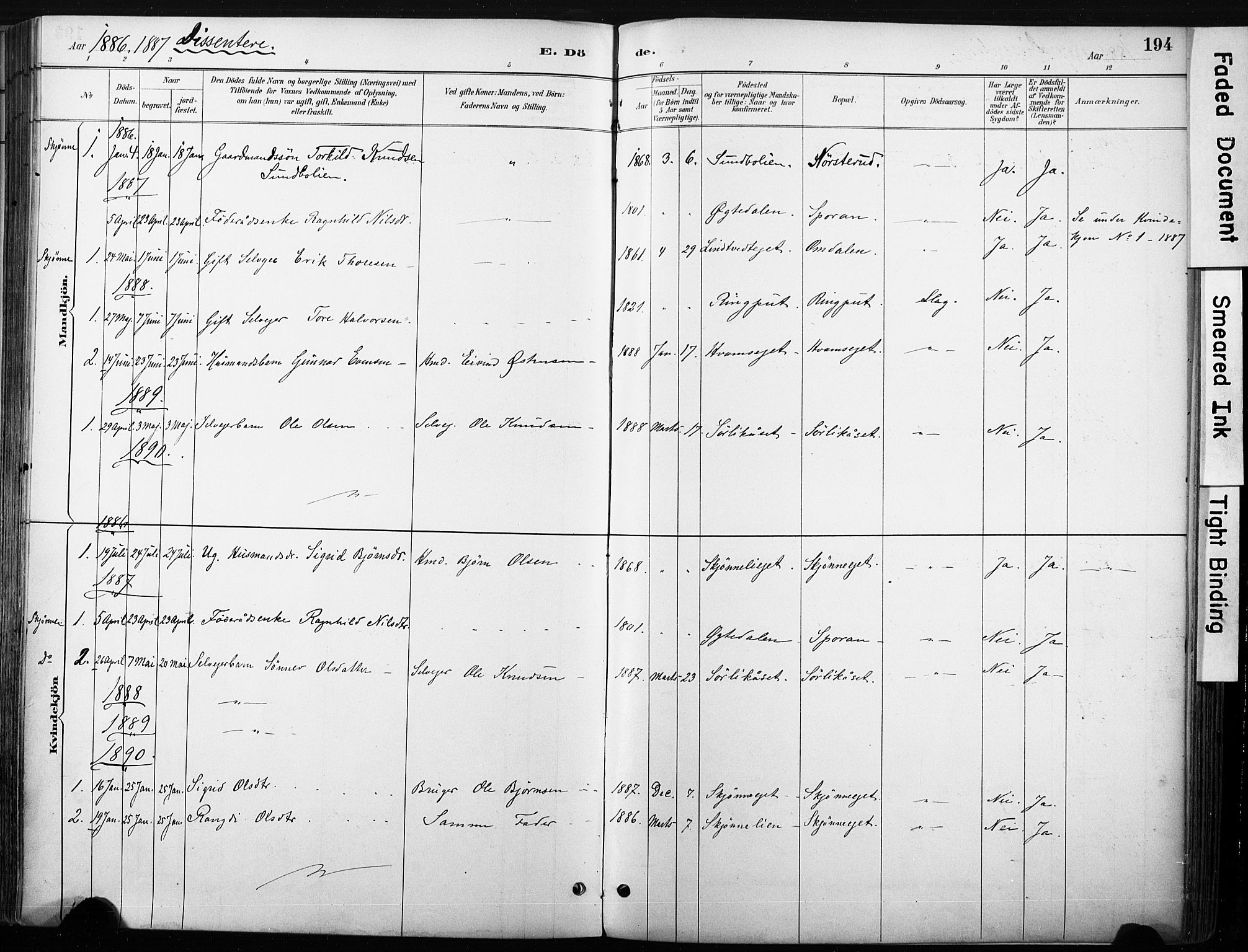 Nore kirkebøker, SAKO/A-238/F/Fb/L0002: Parish register (official) no. II 2, 1886-1906, p. 194