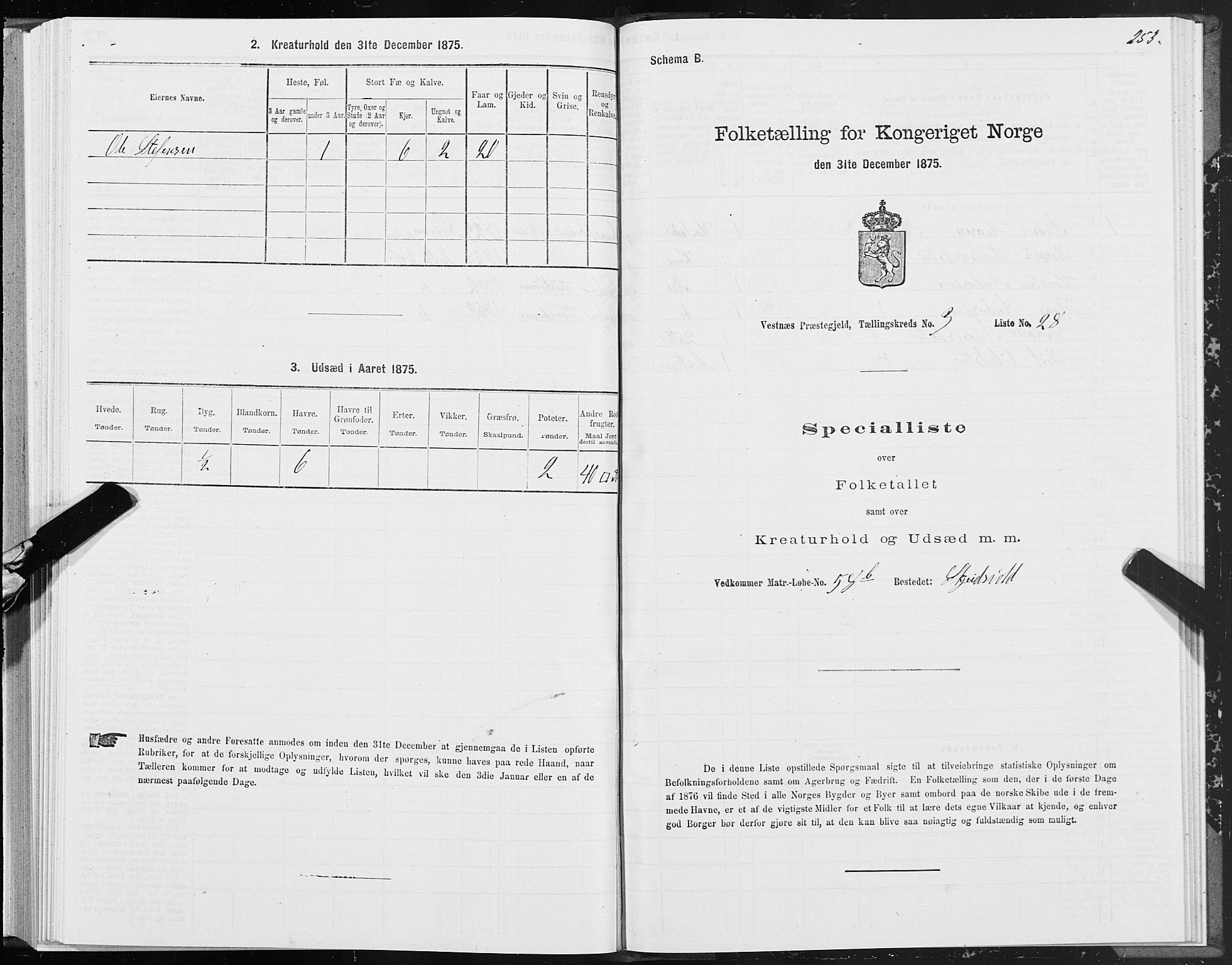 SAT, 1875 census for 1535P Vestnes, 1875, p. 1253