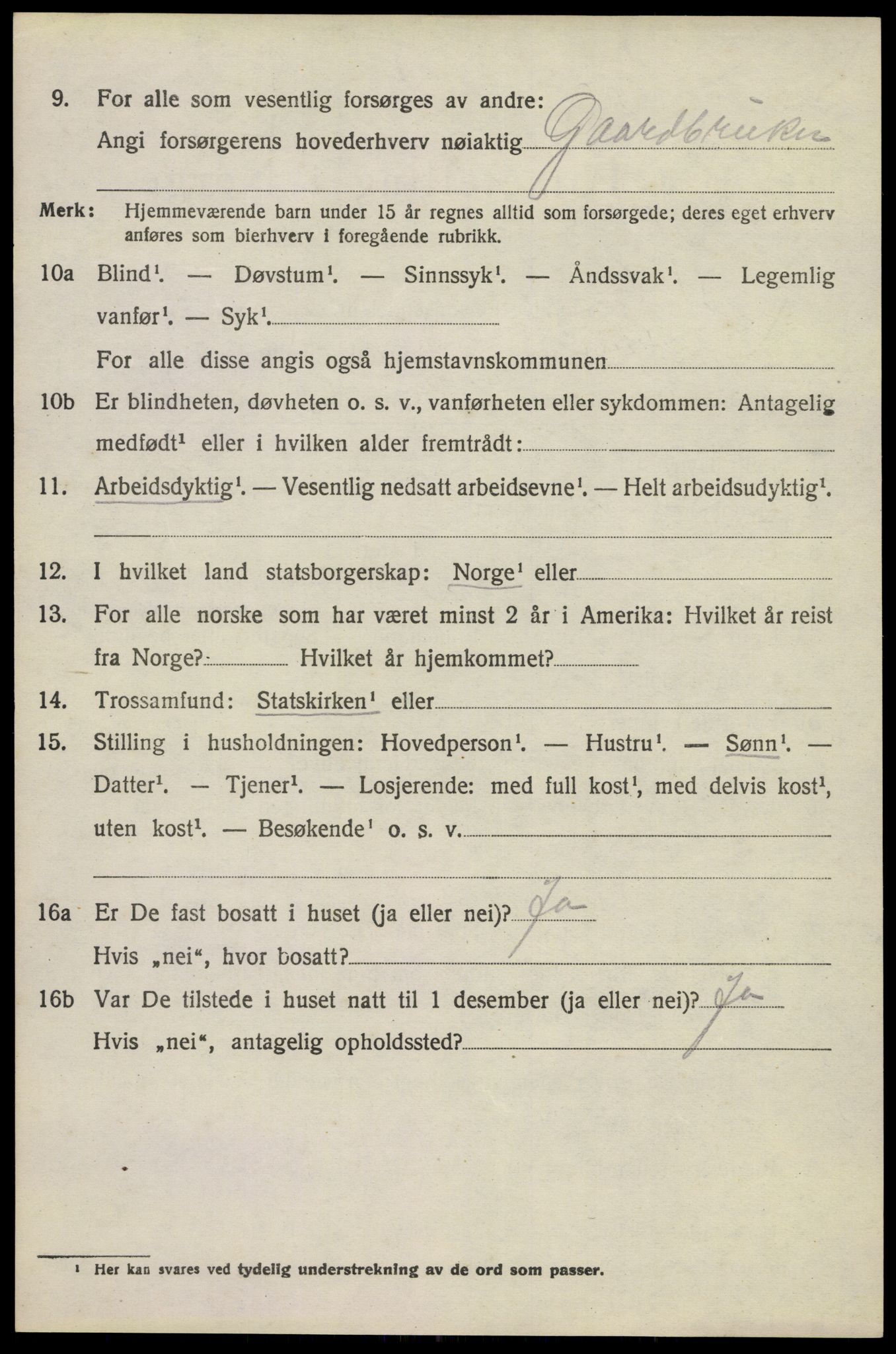 SAKO, 1920 census for Brunlanes, 1920, p. 11552