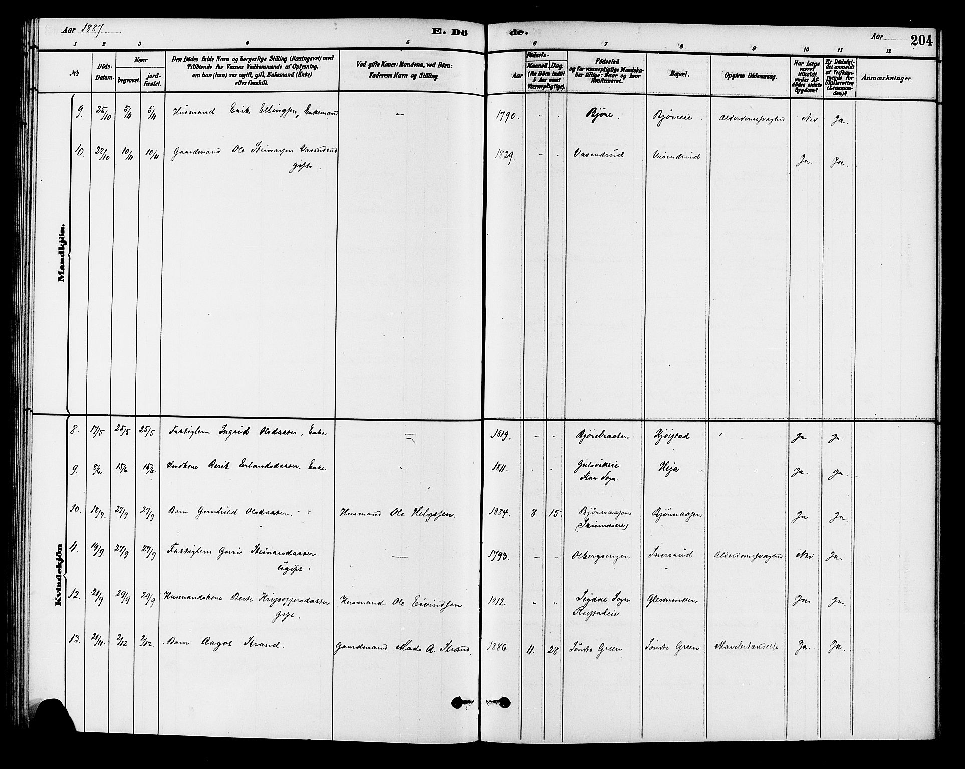 Krødsherad kirkebøker, AV/SAKO-A-19/G/Ga/L0001: Parish register (copy) no. 1, 1879-1893, p. 204