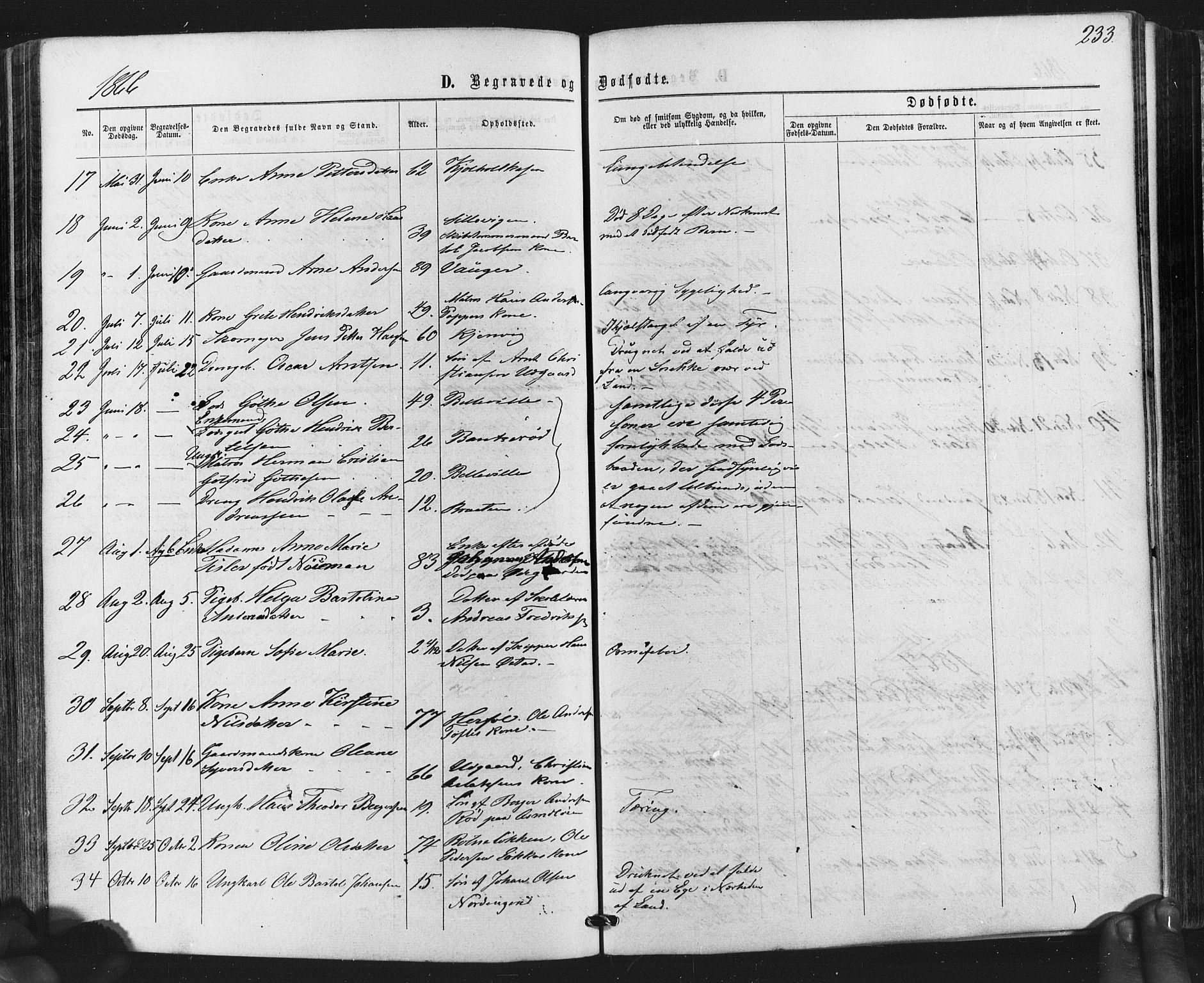 Hvaler prestekontor Kirkebøker, AV/SAO-A-2001/F/Fa/L0007: Parish register (official) no. I 7, 1864-1878, p. 233