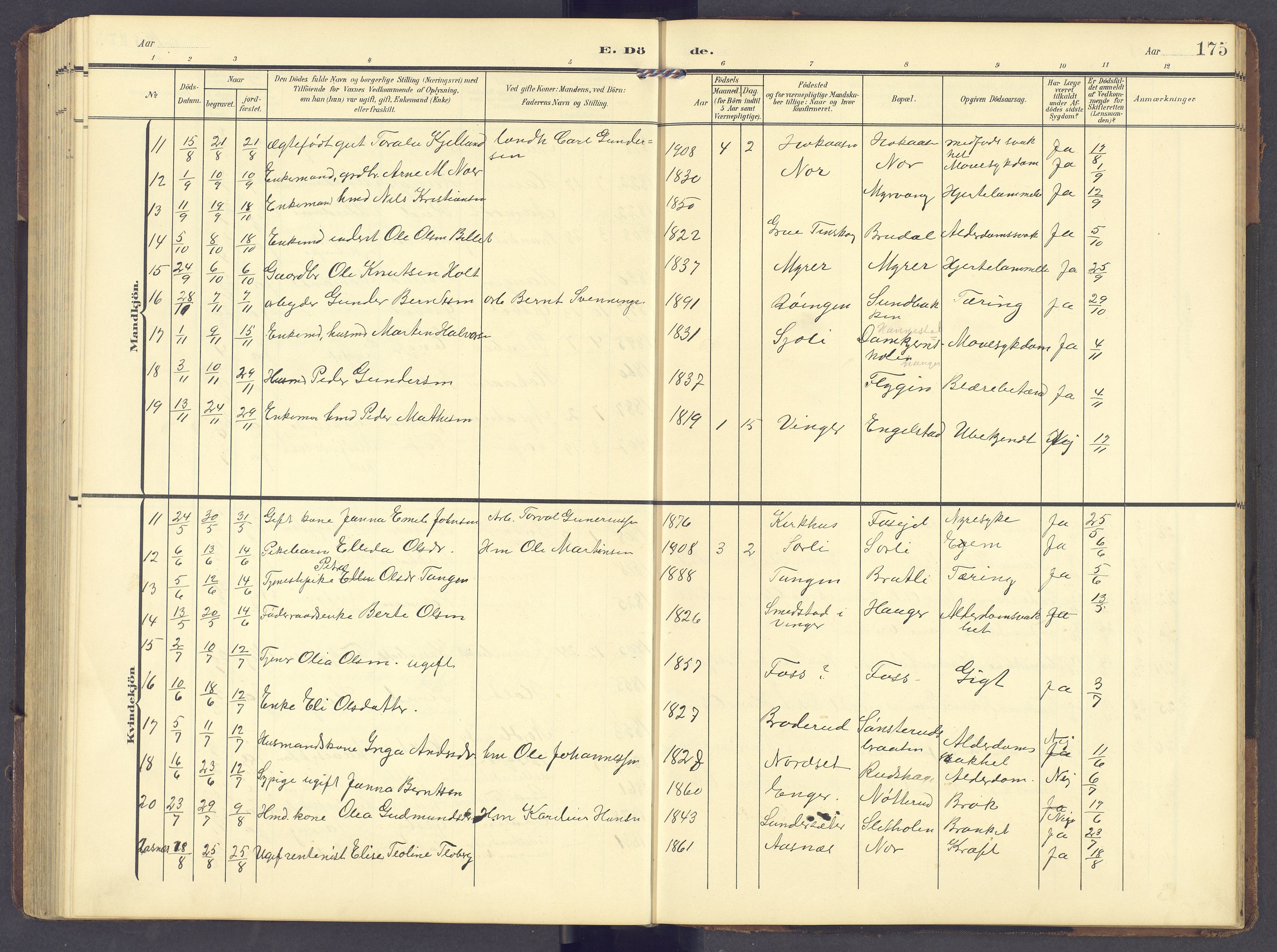 Brandval prestekontor, AV/SAH-PREST-034/H/Ha/Hab/L0003: Parish register (copy) no. 3, 1904-1917, p. 175