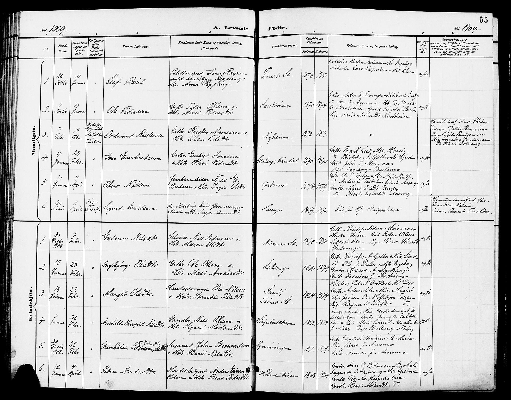 Tynset prestekontor, SAH/PREST-058/H/Ha/Hab/L0009: Parish register (copy) no. 9, 1900-1914, p. 55