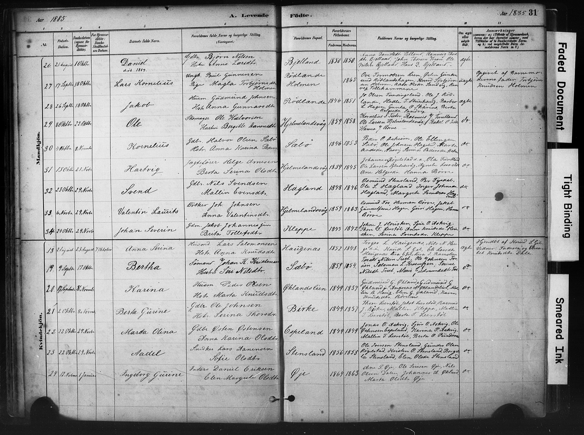 Hjelmeland sokneprestkontor, AV/SAST-A-101843/01/IV/L0014: Parish register (official) no. A 14, 1879-1900, p. 31