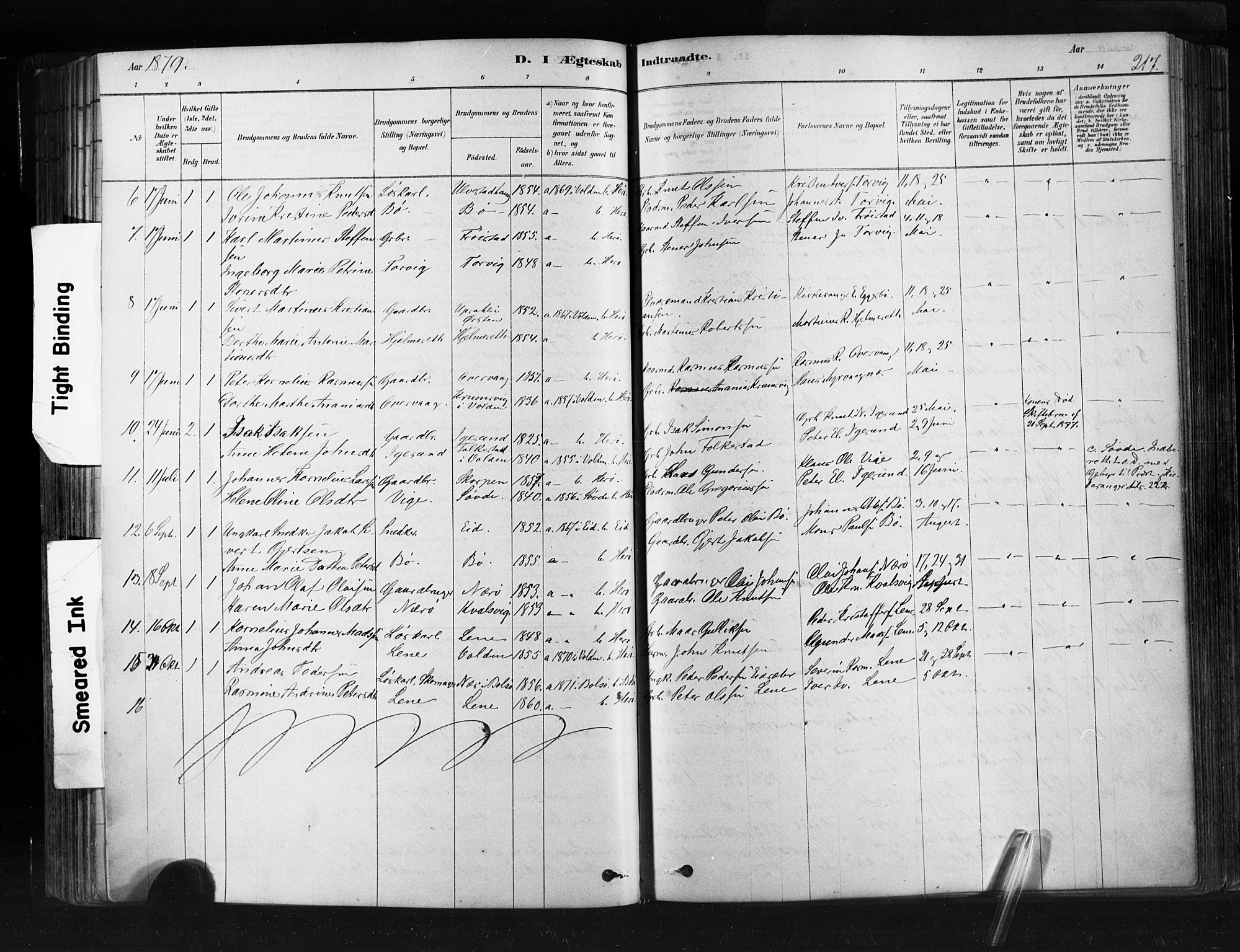 Ministerialprotokoller, klokkerbøker og fødselsregistre - Møre og Romsdal, SAT/A-1454/507/L0073: Parish register (official) no. 507A08, 1878-1904, p. 217