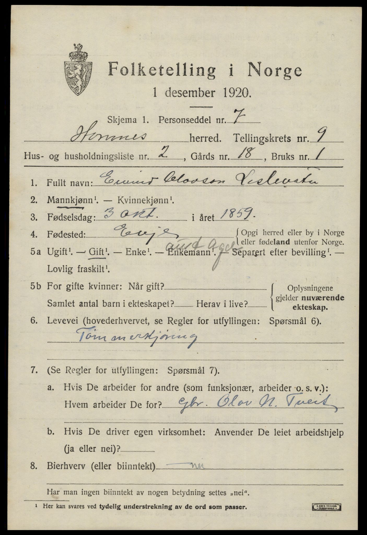 SAK, 1920 census for Hornnes, 1920, p. 2213