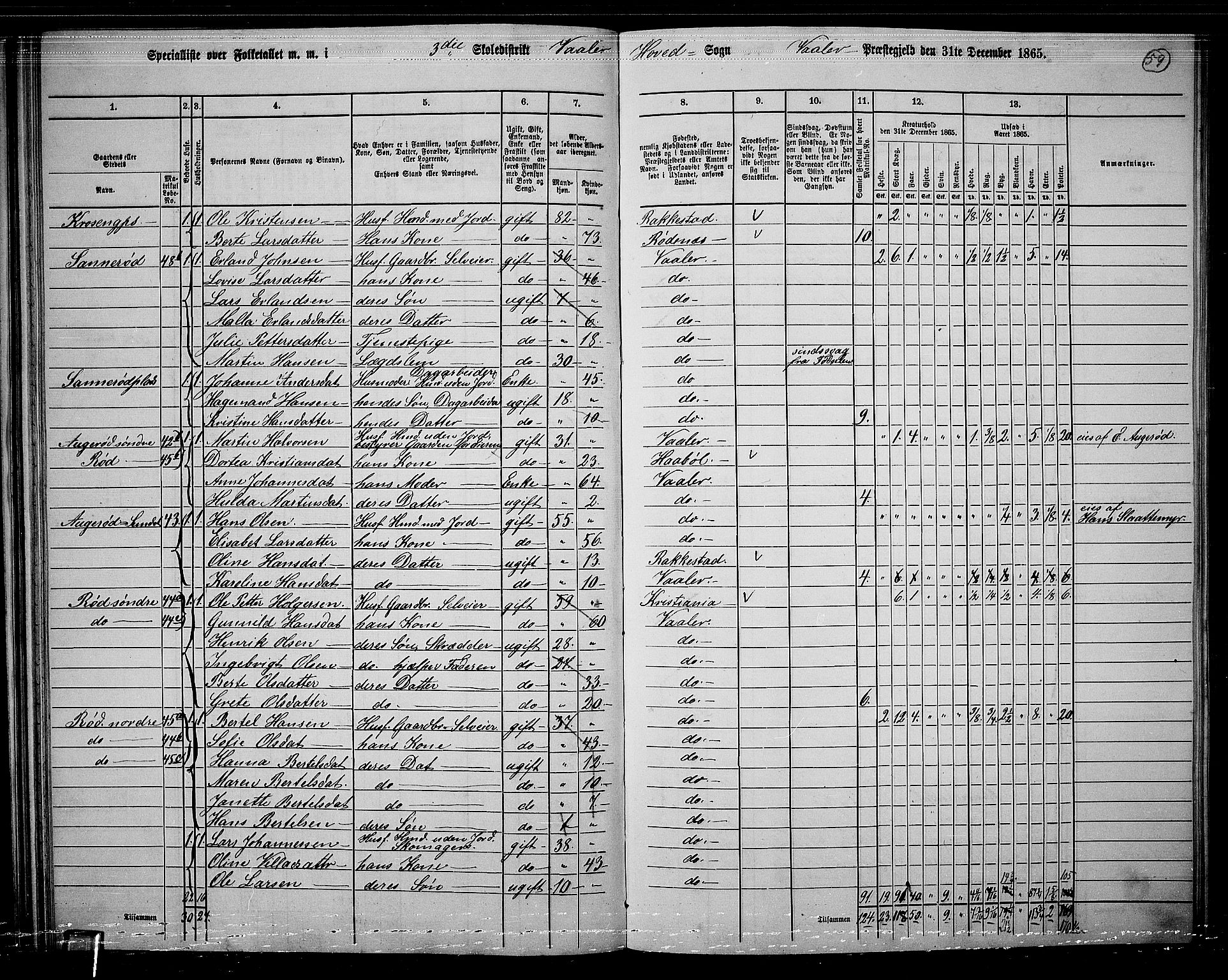 RA, 1865 census for Våler, 1865, p. 54