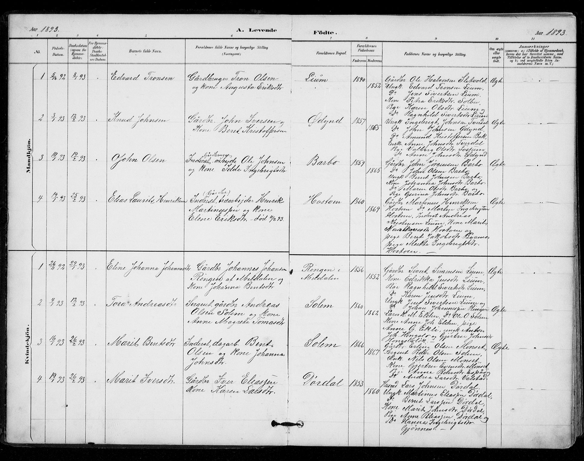 Ministerialprotokoller, klokkerbøker og fødselsregistre - Sør-Trøndelag, SAT/A-1456/671/L0841: Parish register (official) no. 671A03, 1893-1915