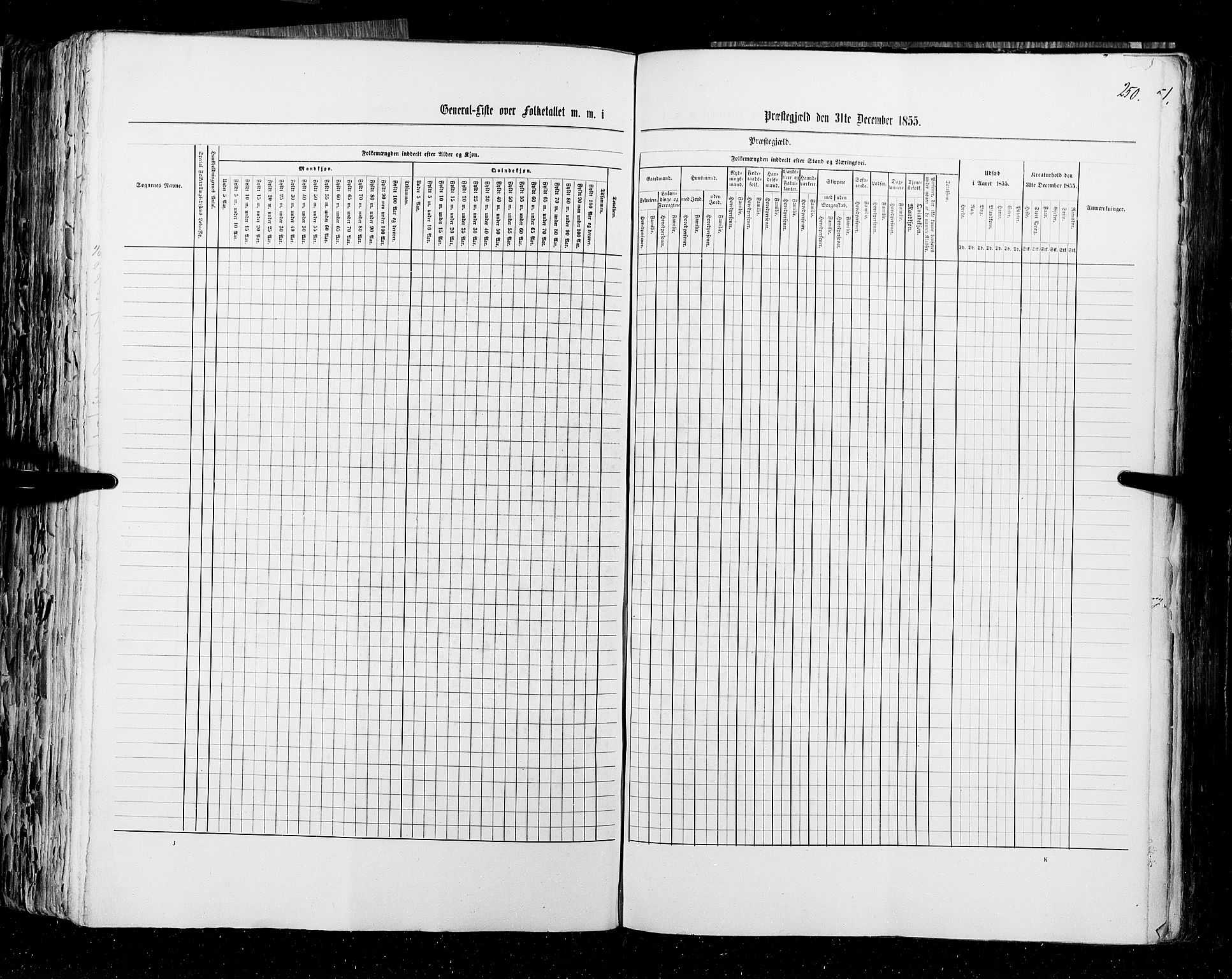 RA, Census 1855, vol. 1: Akershus amt, Smålenenes amt og Hedemarken amt, 1855, p. 250