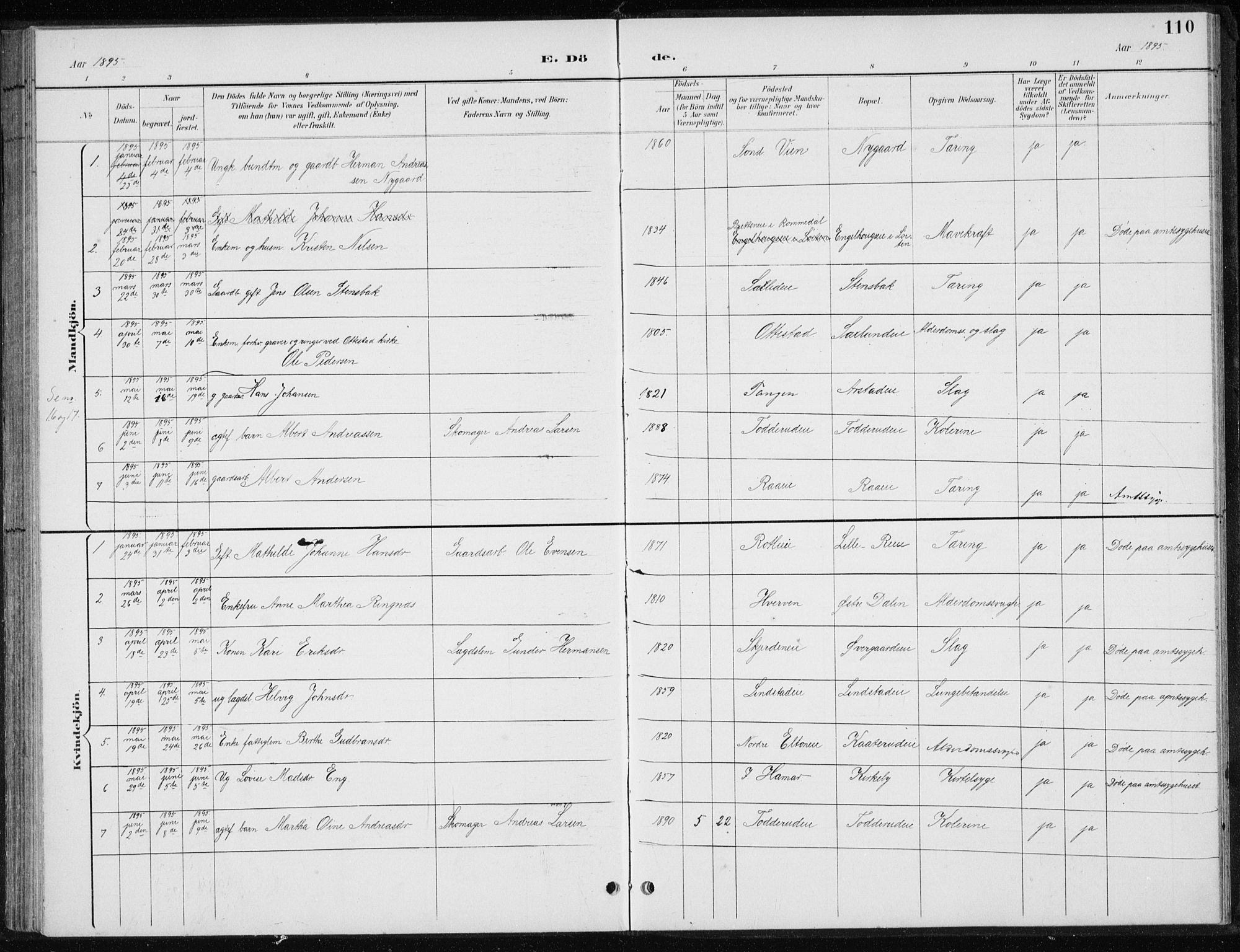 Stange prestekontor, SAH/PREST-002/L/L0010: Parish register (copy) no. 10, 1894-1905, p. 110