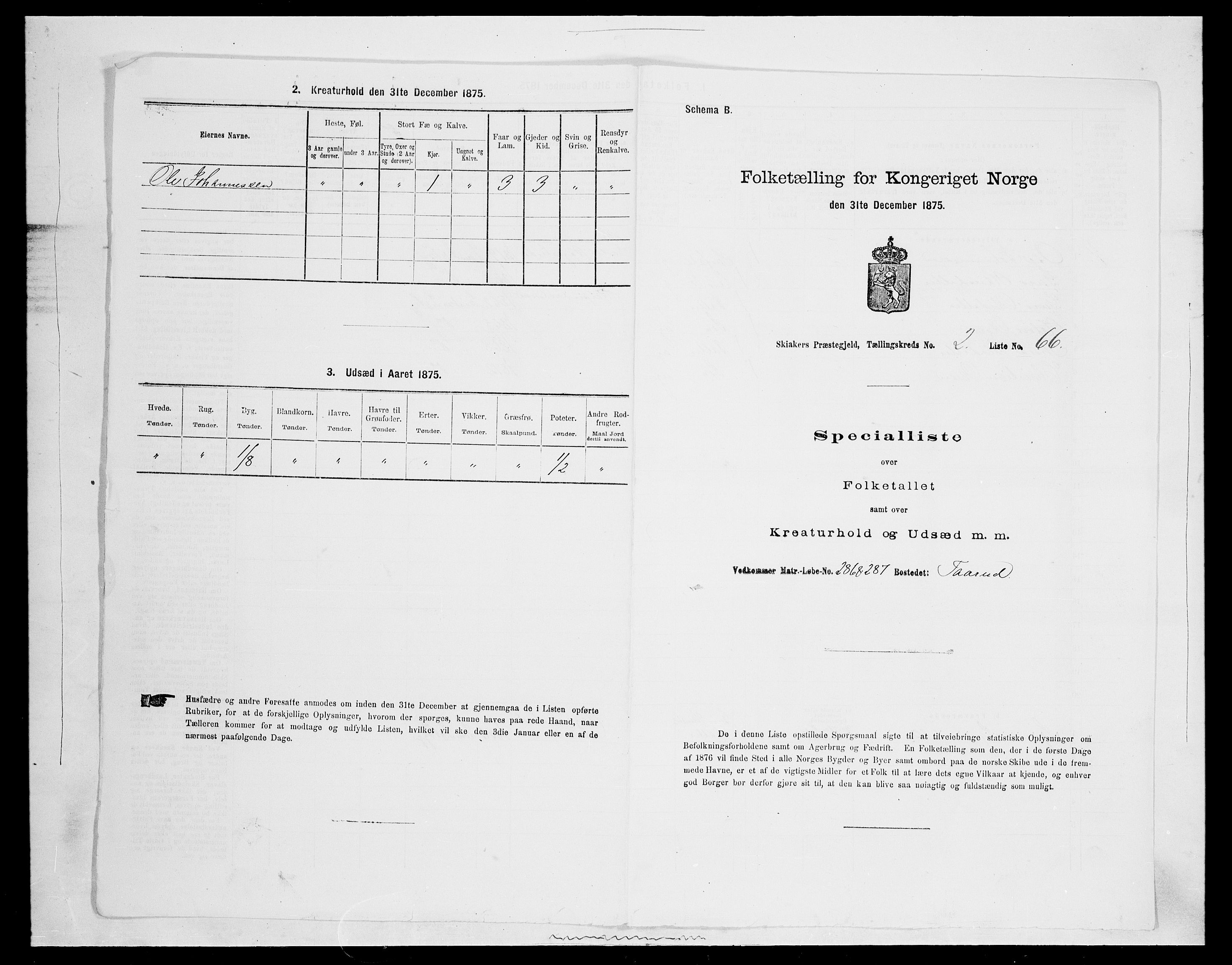 SAH, 1875 census for 0513P Skjåk, 1875, p. 294