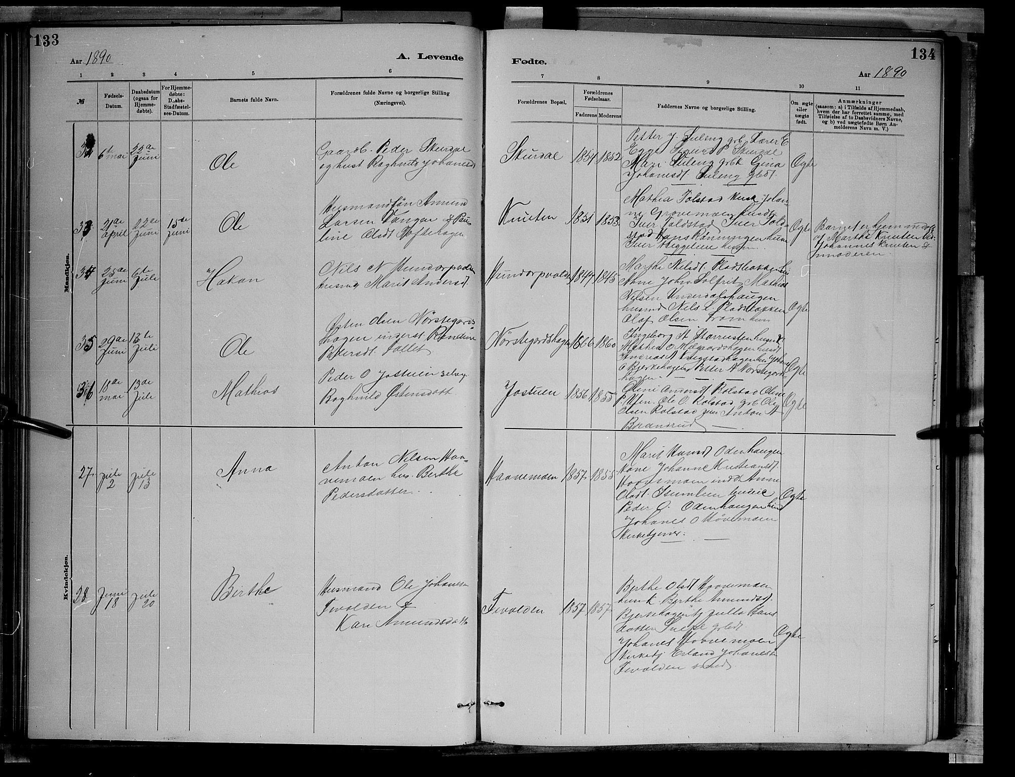 Sør-Fron prestekontor, AV/SAH-PREST-010/H/Ha/Hab/L0003: Parish register (copy) no. 3, 1884-1896, p. 133-134