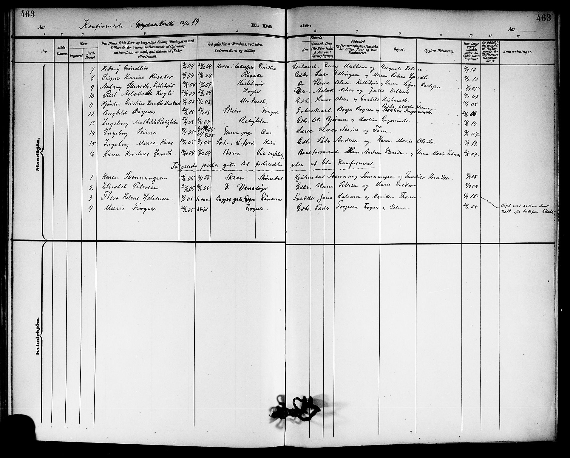 Gjerpen kirkebøker, SAKO/A-265/G/Ga/L0003: Parish register (copy) no. I 3, 1901-1919, p. 463