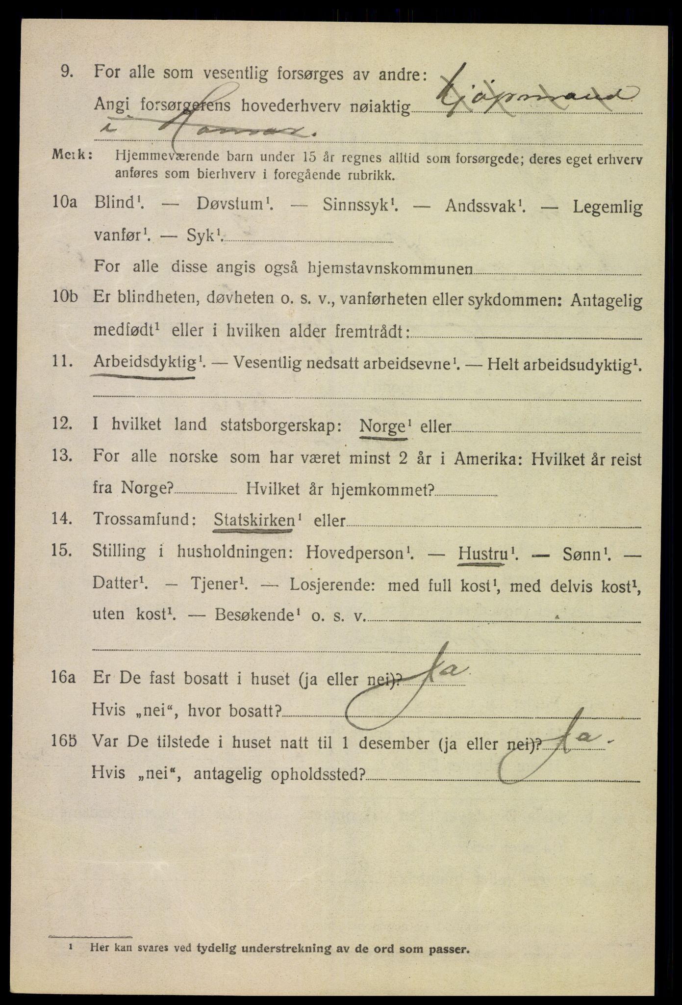 SAH, 1920 census for Vang (Hedmark), 1920, p. 13854