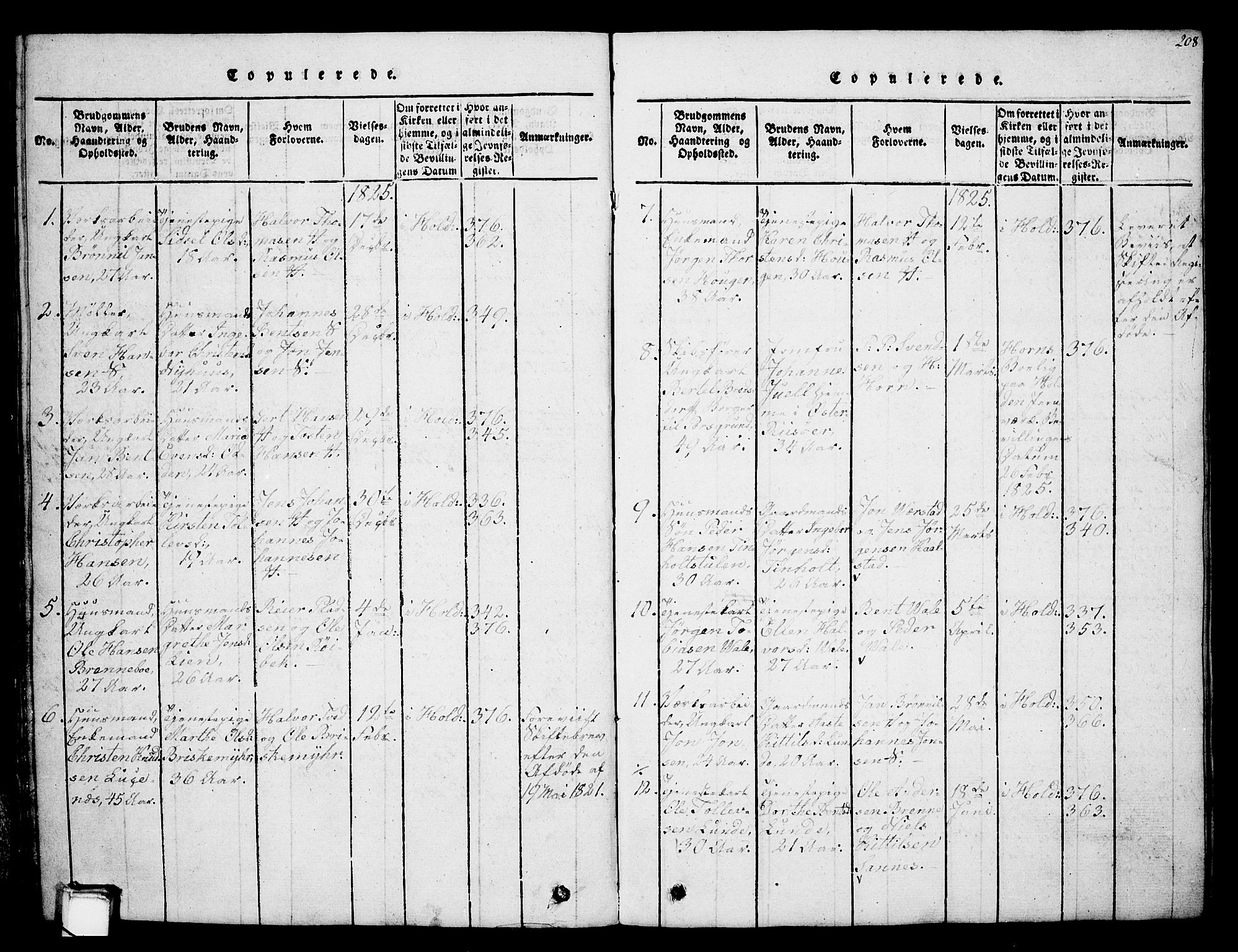 Holla kirkebøker, AV/SAKO-A-272/G/Ga/L0001: Parish register (copy) no. I 1, 1814-1830, p. 208