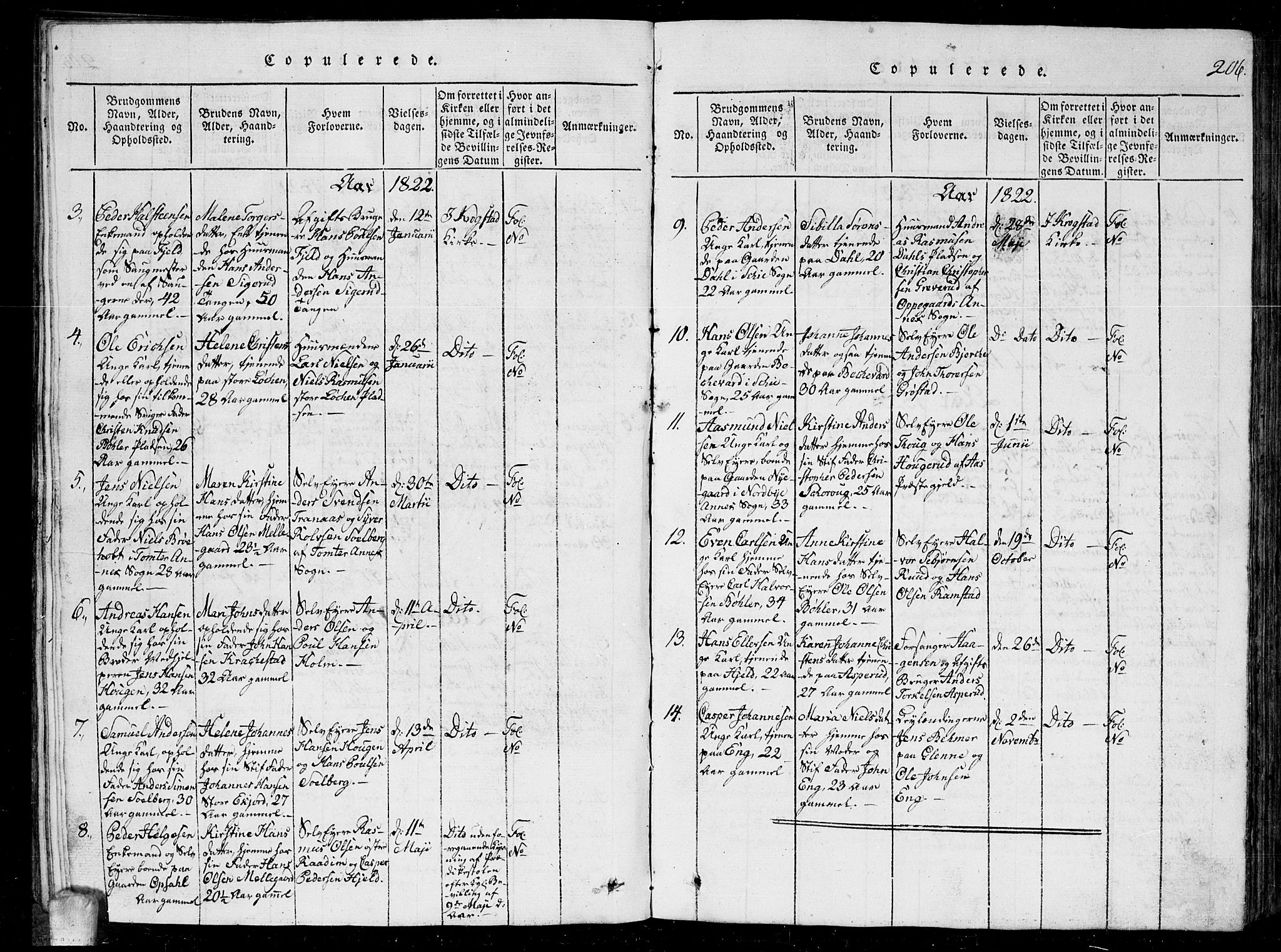 Kråkstad prestekontor Kirkebøker, SAO/A-10125a/G/Ga/L0001: Parish register (copy) no. I 1, 1813-1824, p. 206