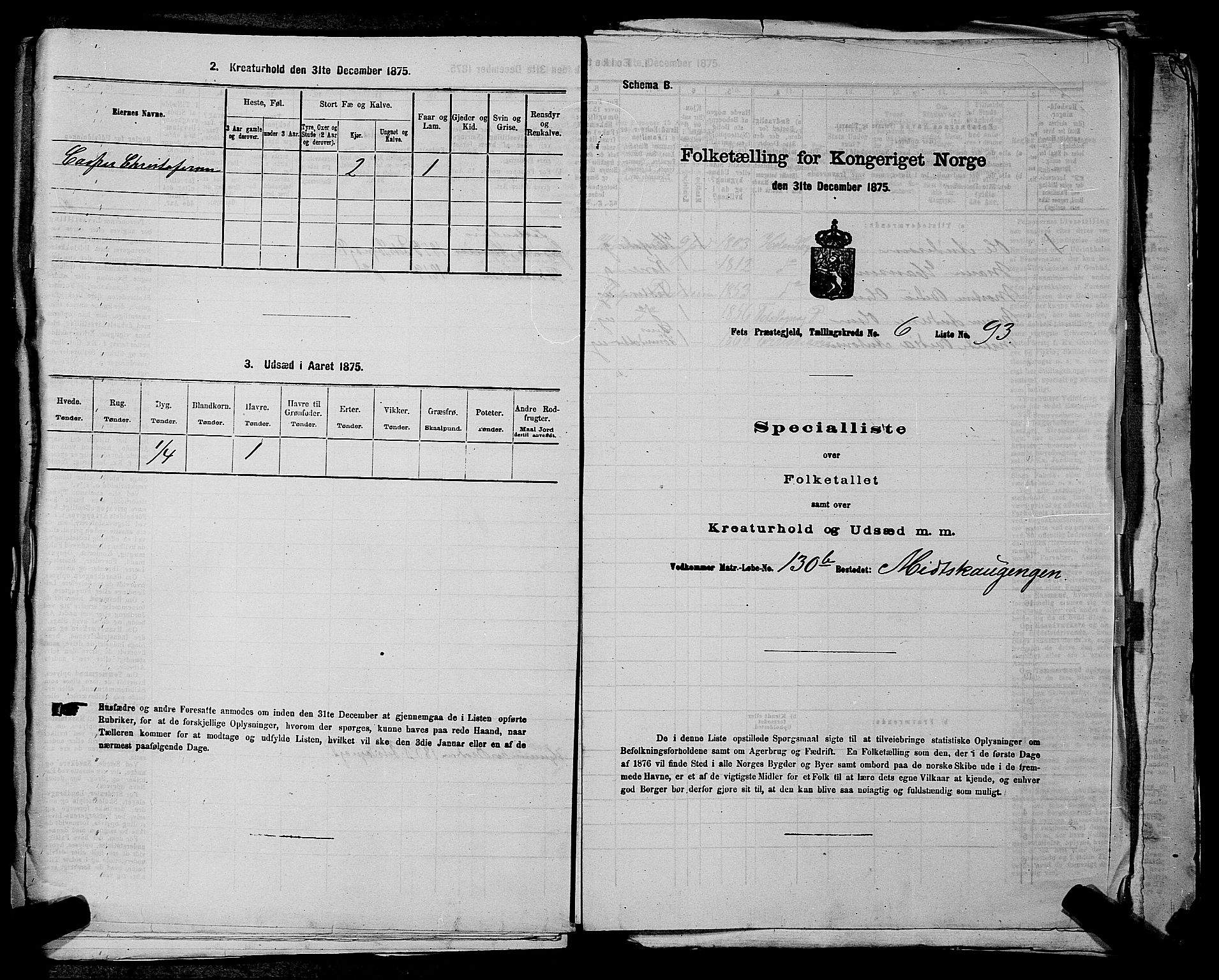 RA, 1875 census for 0227P Fet, 1875, p. 987