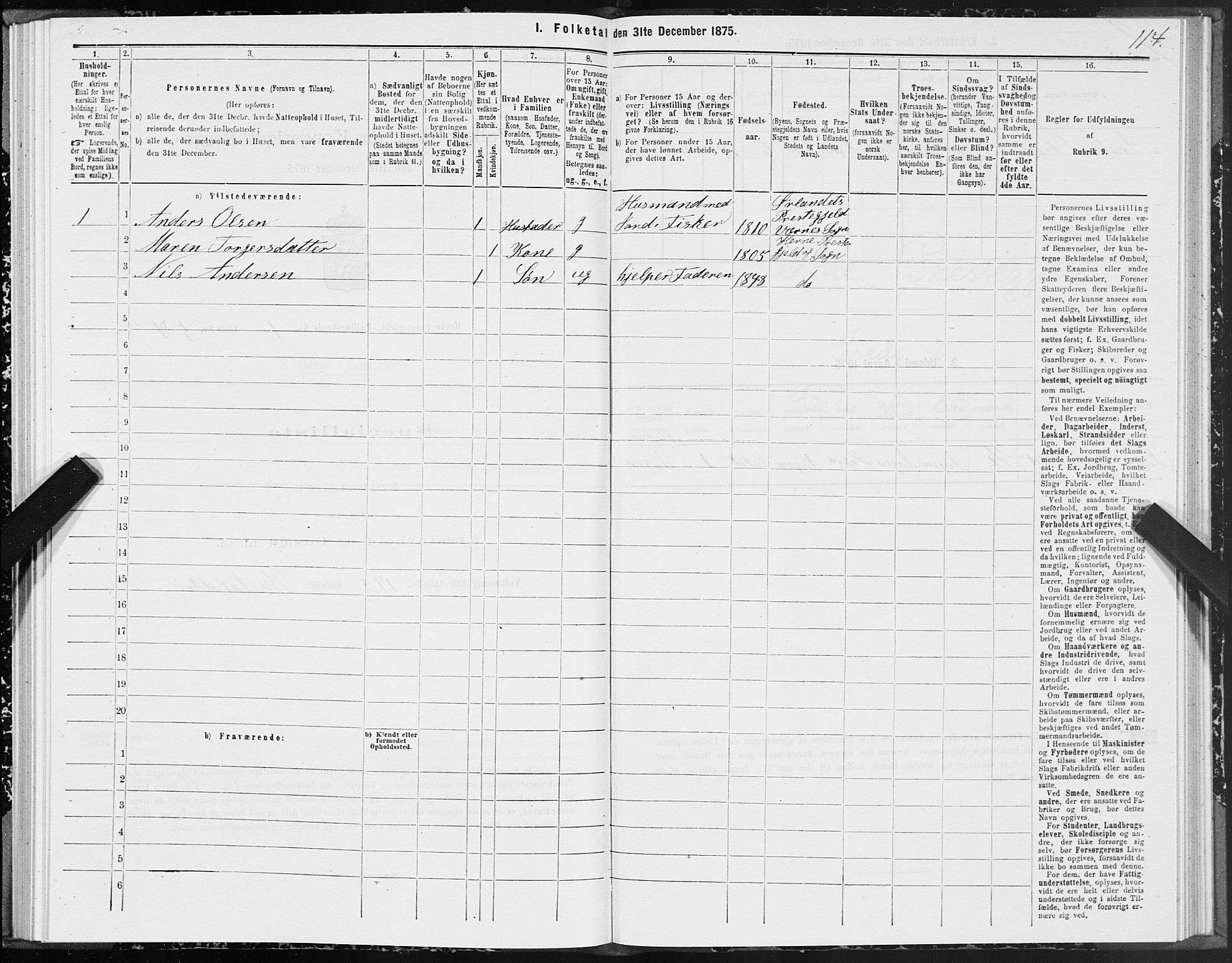 SAT, 1875 census for 1612P Hemne, 1875, p. 1114