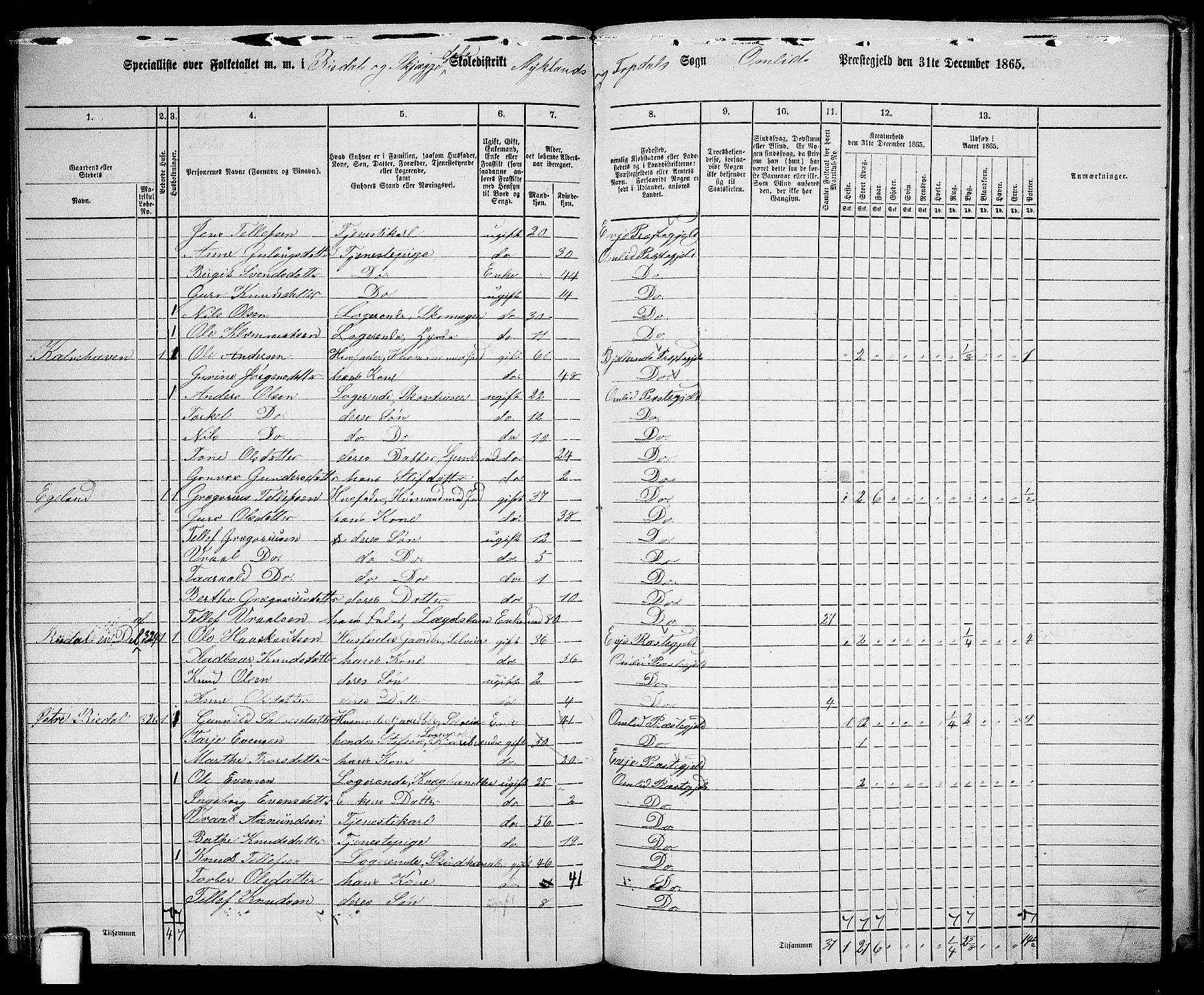 RA, 1865 census for Åmli, 1865, p. 103