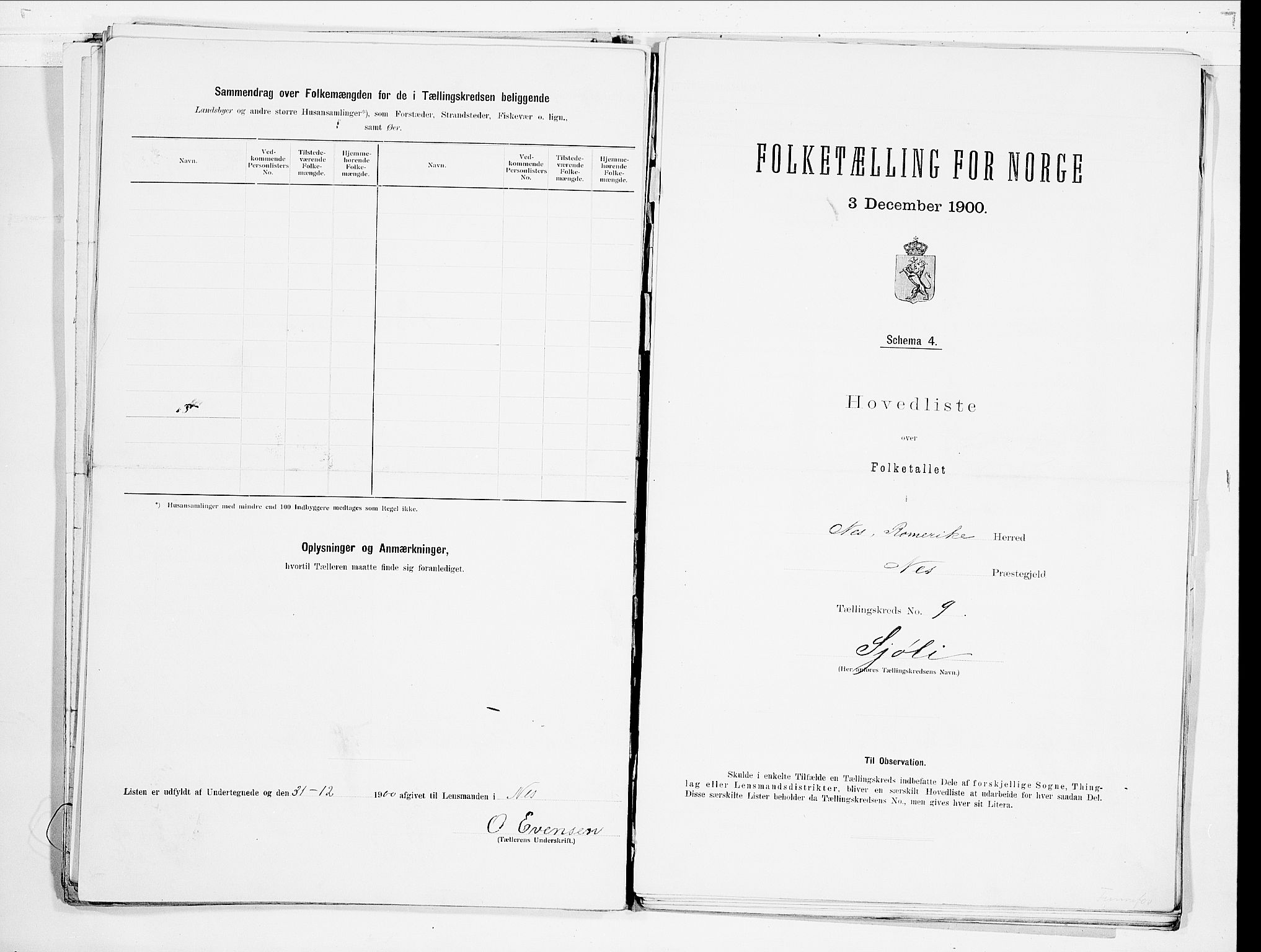 SAO, 1900 census for Nes, 1900, p. 21