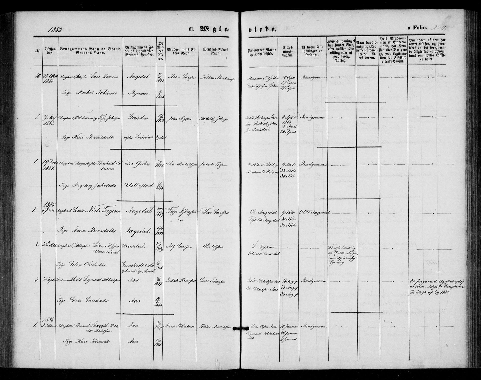 Bjelland sokneprestkontor, SAK/1111-0005/F/Fa/Fac/L0002: Parish register (official) no. A 2, 1866-1887, p. 220